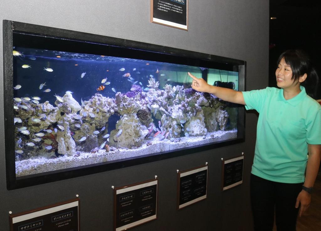 学習型水族館オープン 神戸の専門学校 イザ