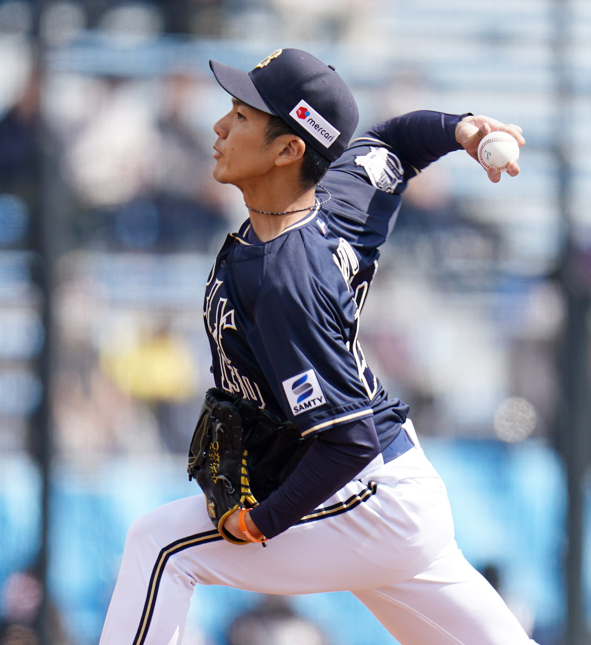 選手Photoミニタペストリー 小野泰己 きざみ