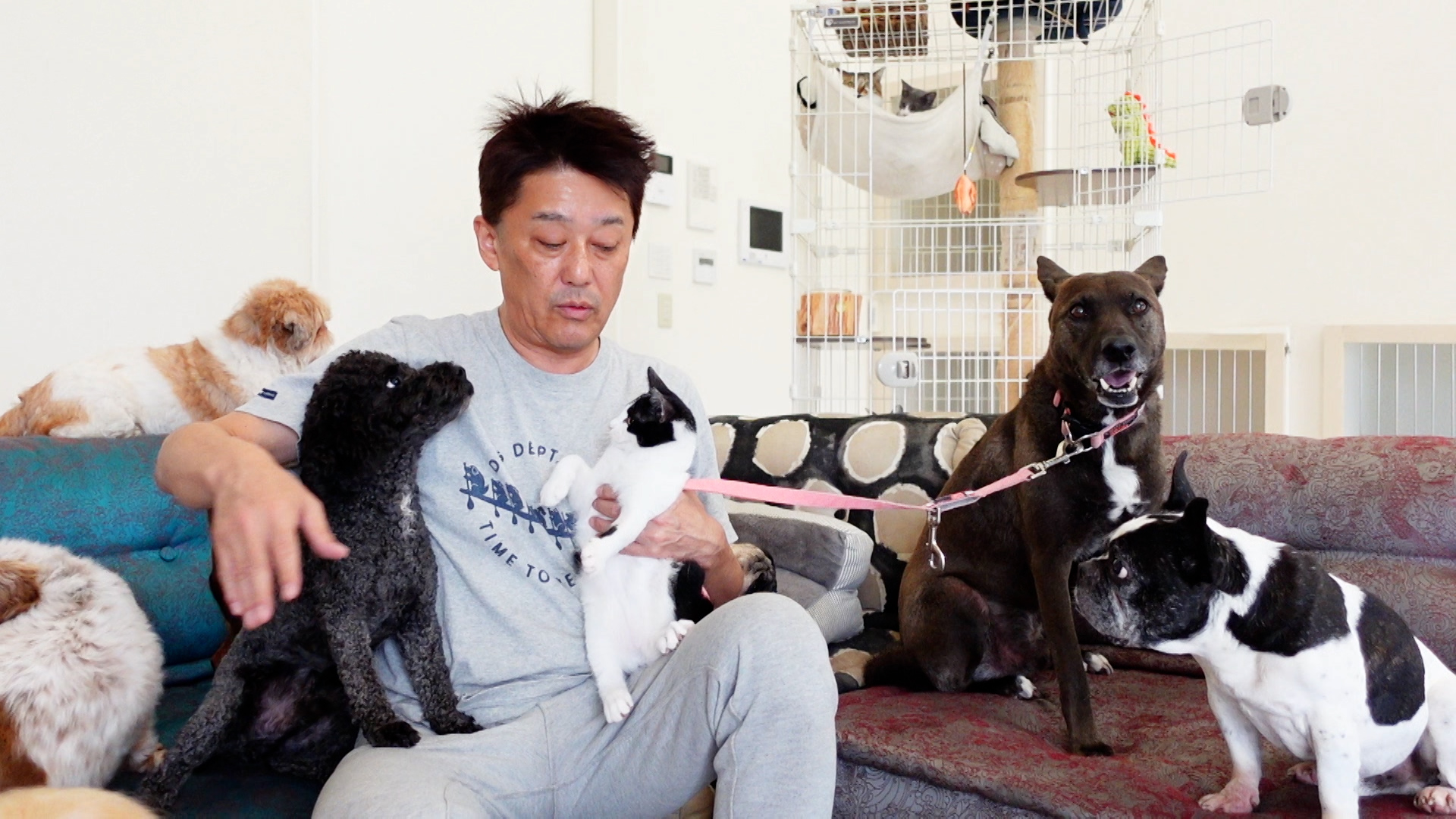 くっきー キンプリ 髙橋海人らが 第２の坂上家 建設に奮闘 産経ニュース