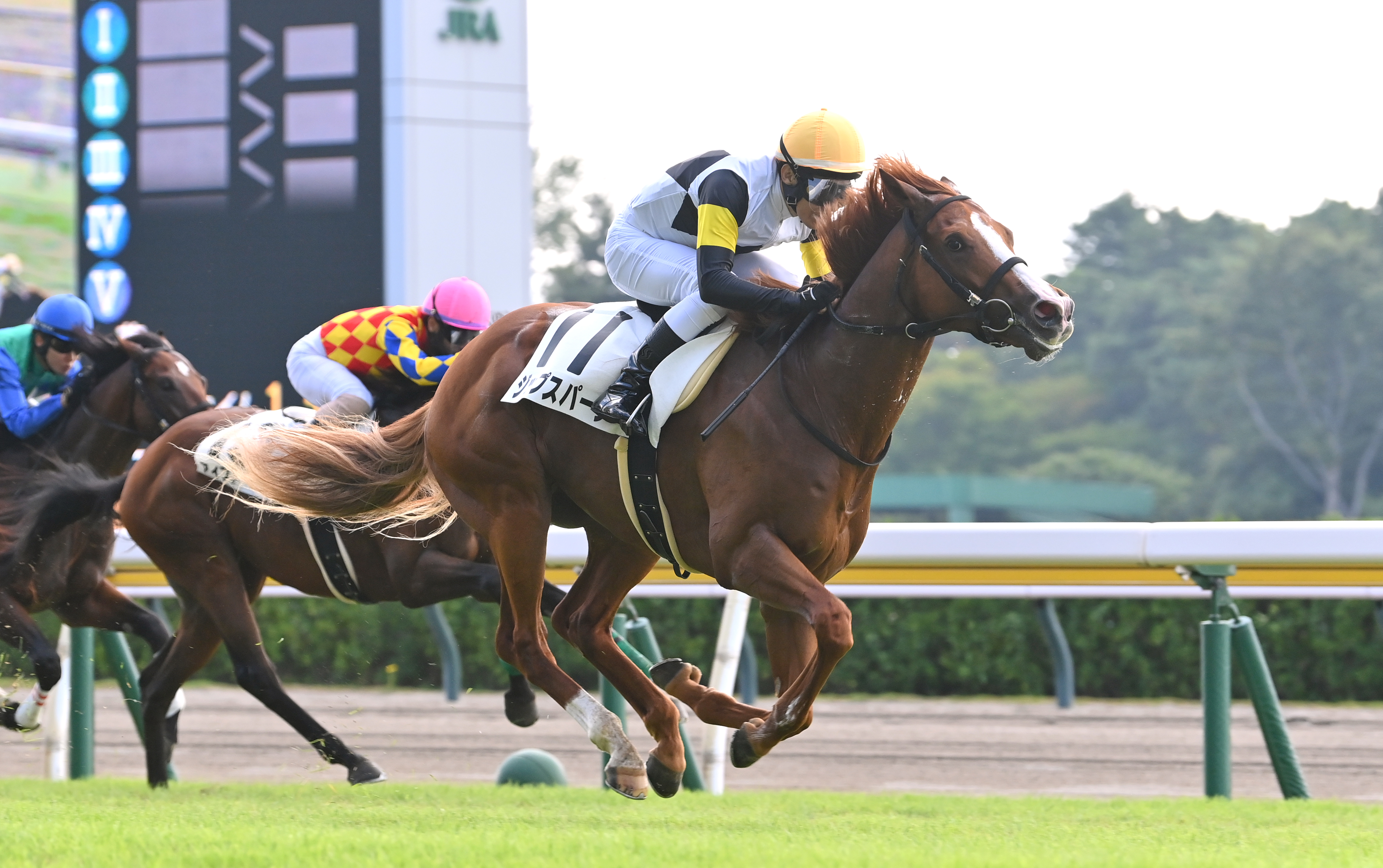 2歳新馬・新潟3R】オルフェーヴル産駒のジップスパークが人気に応えて