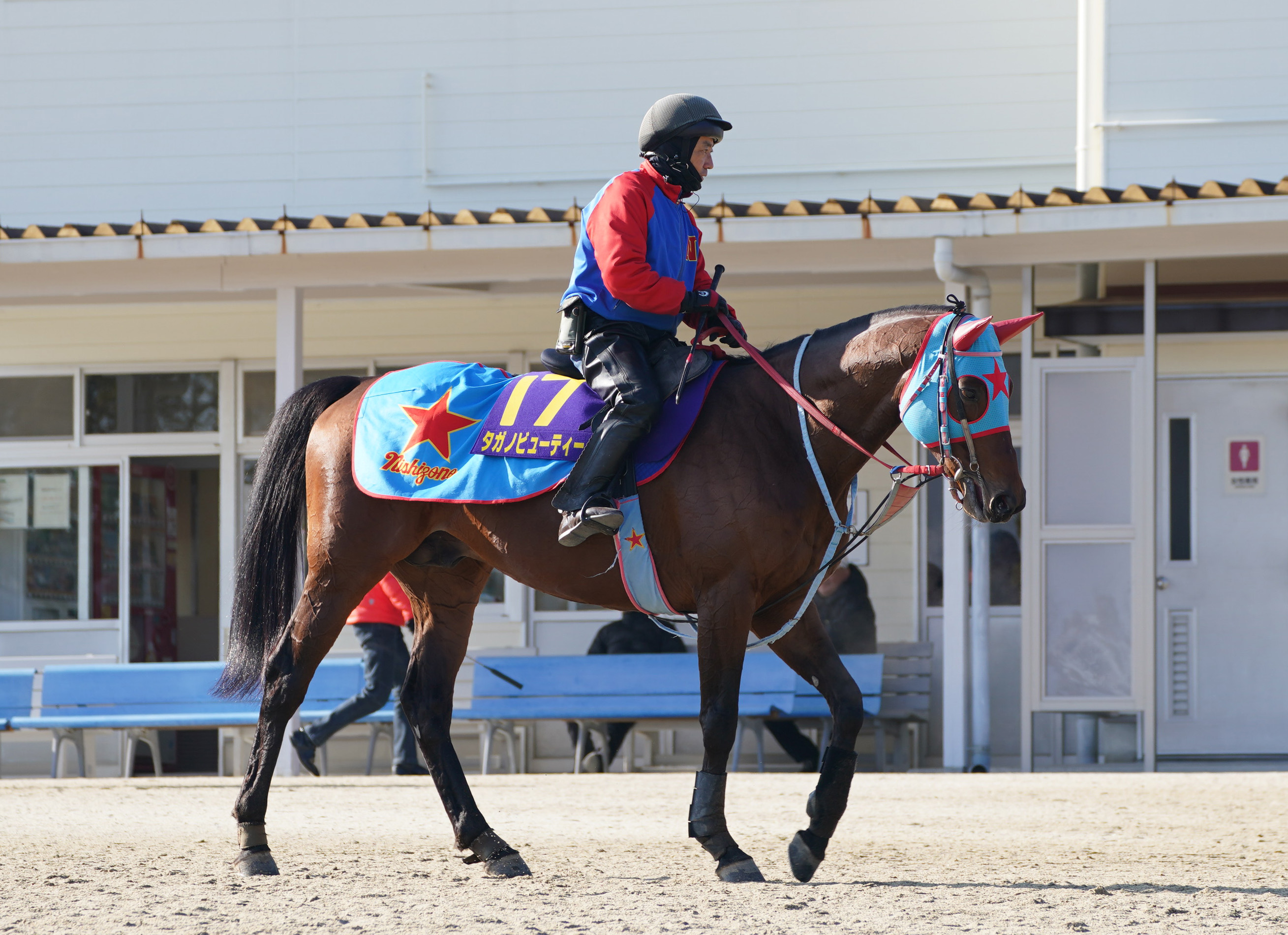 ＪＲＡ中央競馬予想 「自信の１鞍勝負」 - 情報