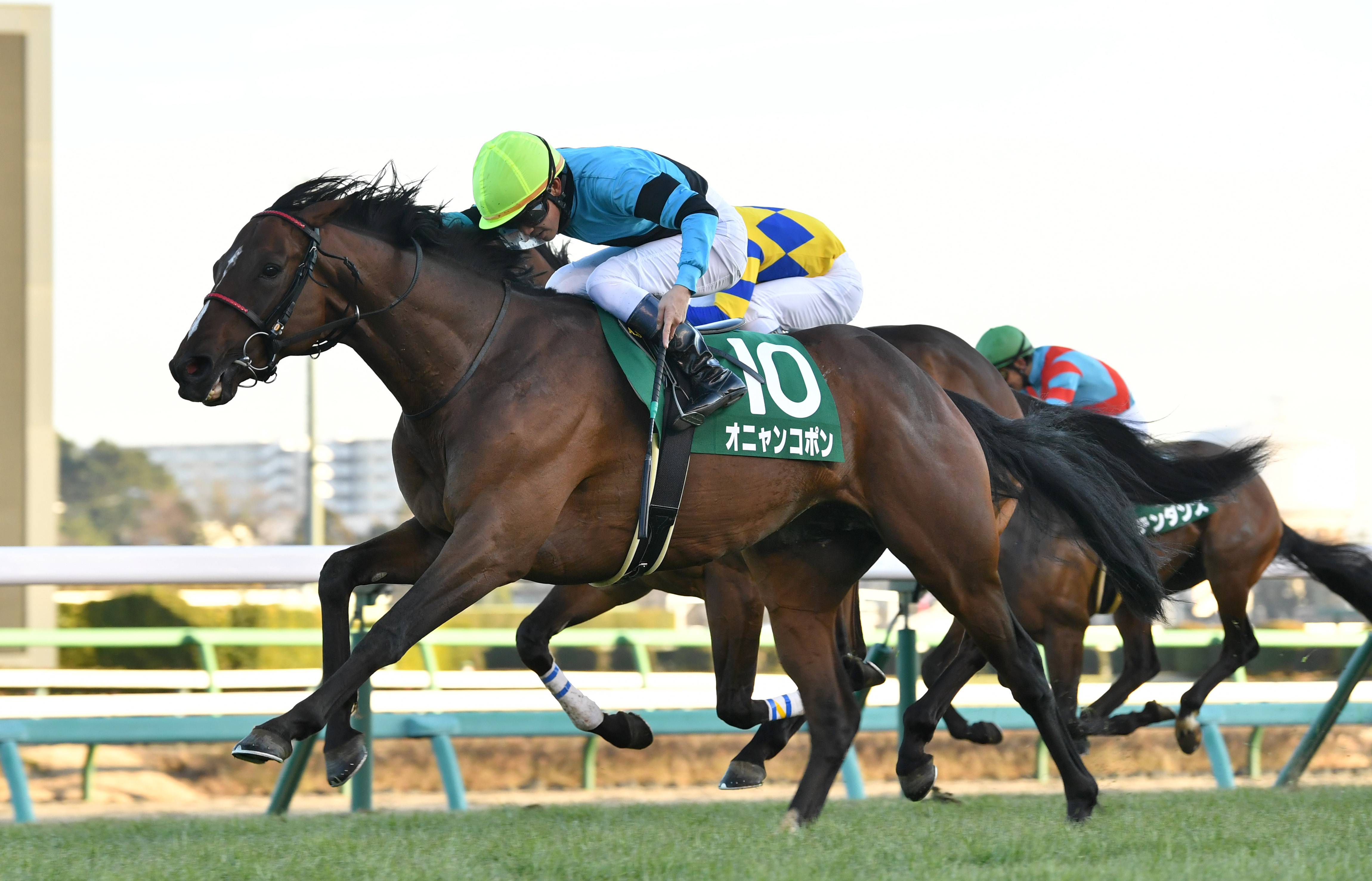 オニャンコポン 次走報】皐月賞6着オニャンコポンはダービーへ「カイバをペロッと食べ
