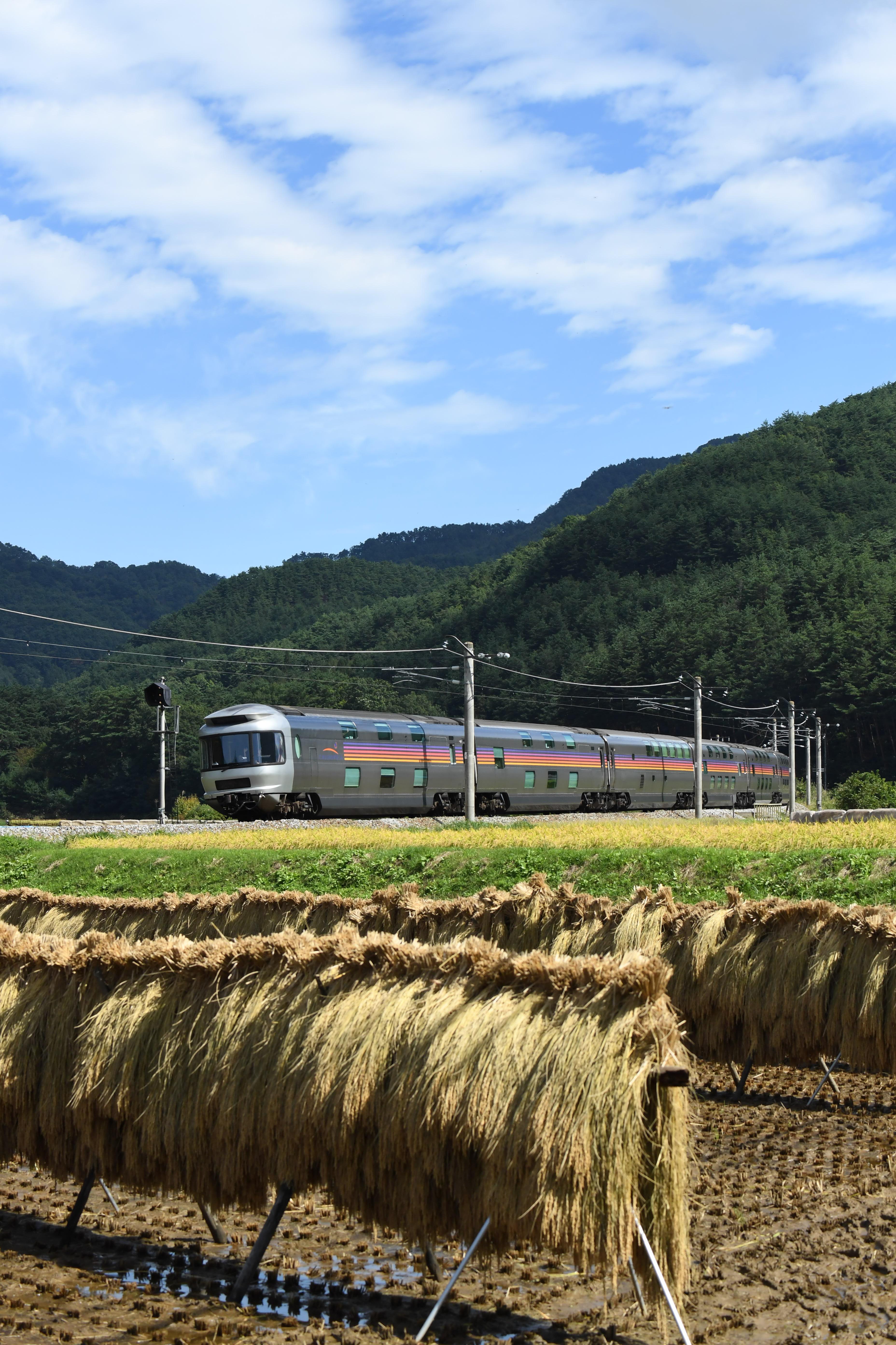 【早いもの勝ち】 JRＥ26系　寝台特急カシオペア　乗った思い出に 家族でカシオペア紀行に乗ってきた - YouTube