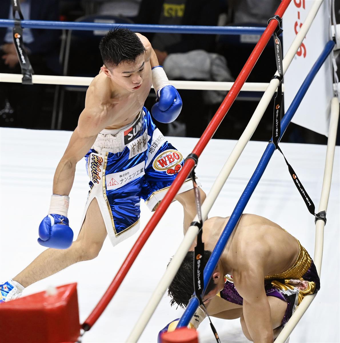☆ ボクシング プログラ厶 WBO世界フライ級タイトルマッチ