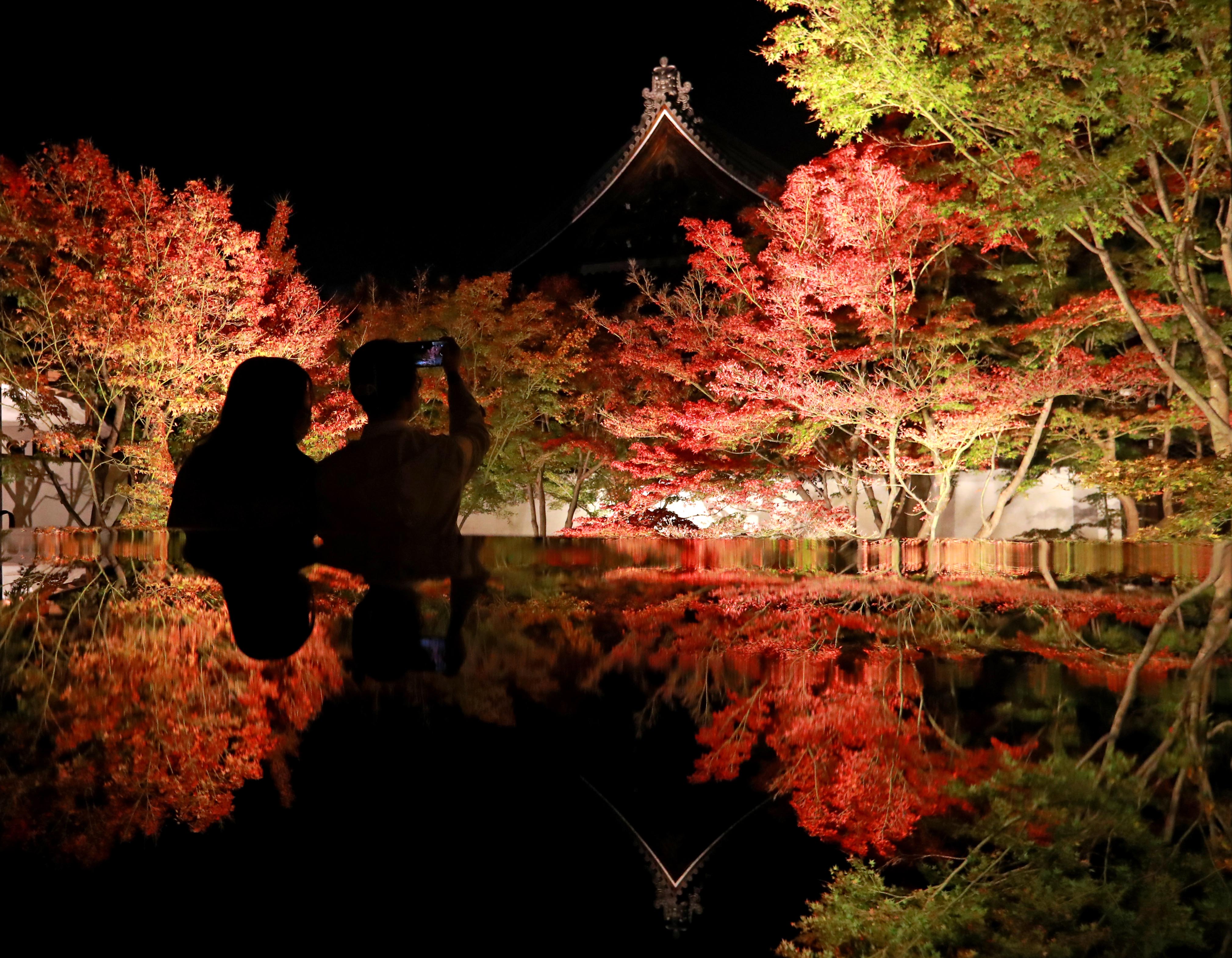 紅葉のシンメトリー色鮮やか 京都 妙覚寺でライトアップ 産経ニュース