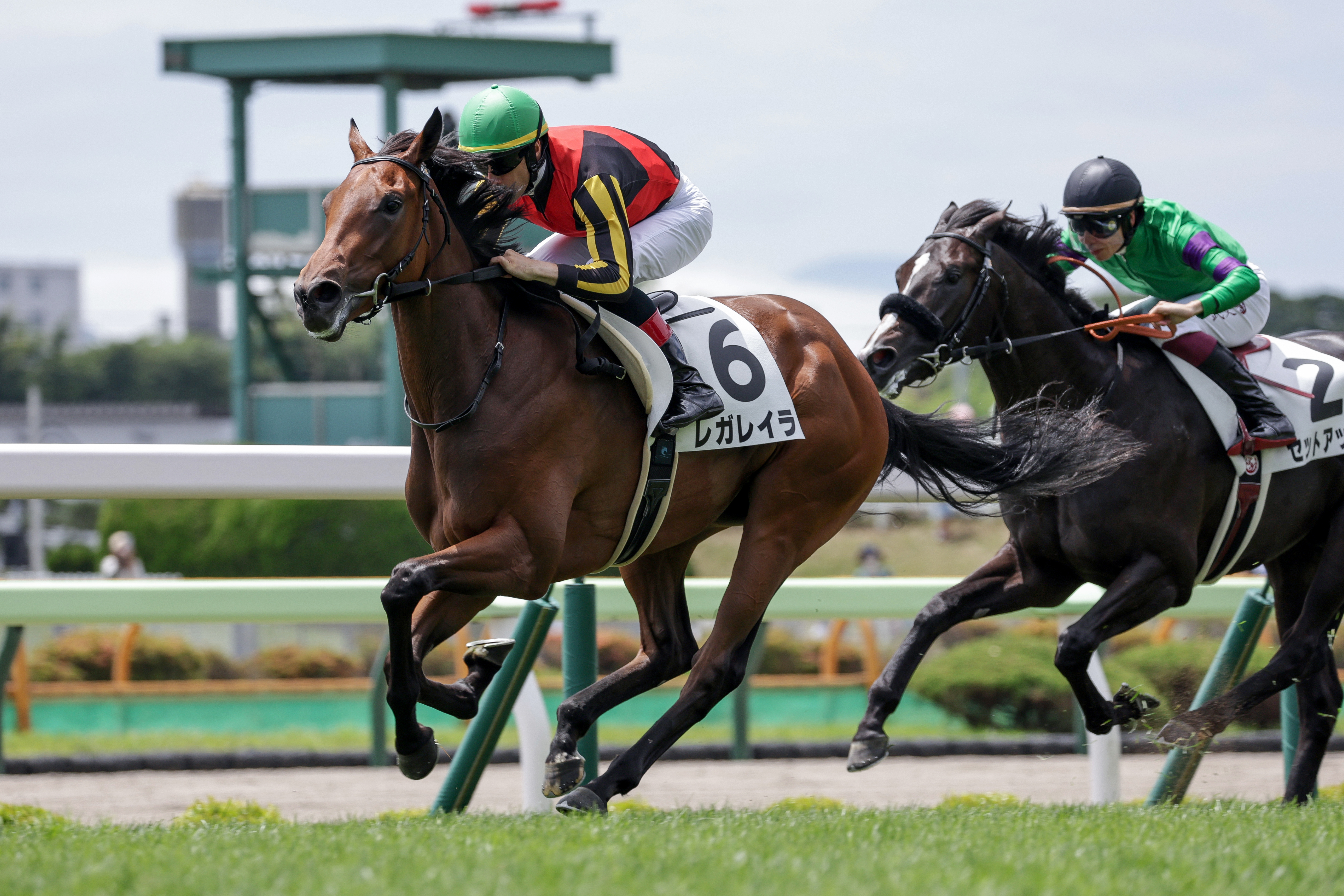 【競馬エイト今週の勝負レース】菊花賞（竹下＆喜多村）