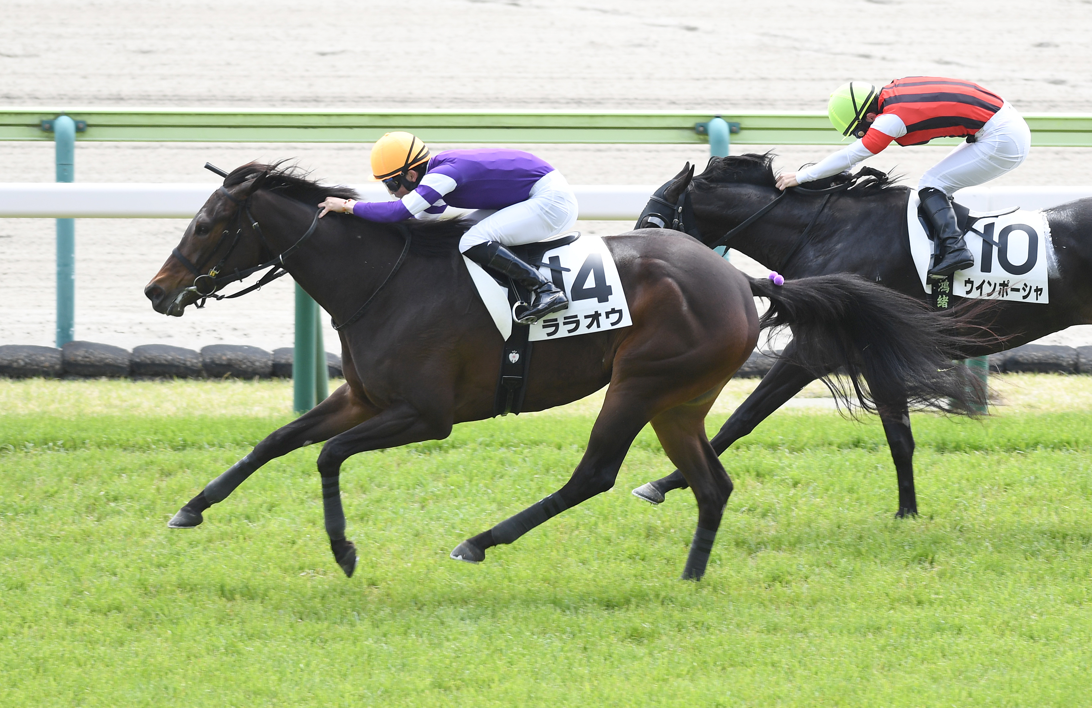 3歳未勝利・福島2R】〝最強の1勝馬〟エタリオウの産駒がJRA初V！ 初