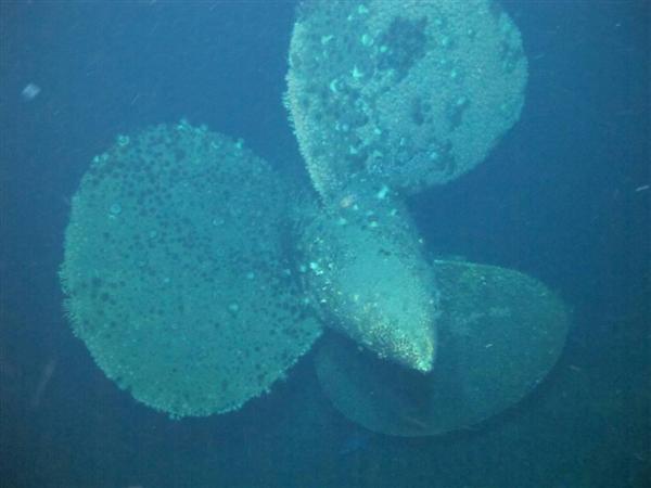 動画付き】これが戦艦「大和」だ！ 菊の紋章、世界最大の主砲塔