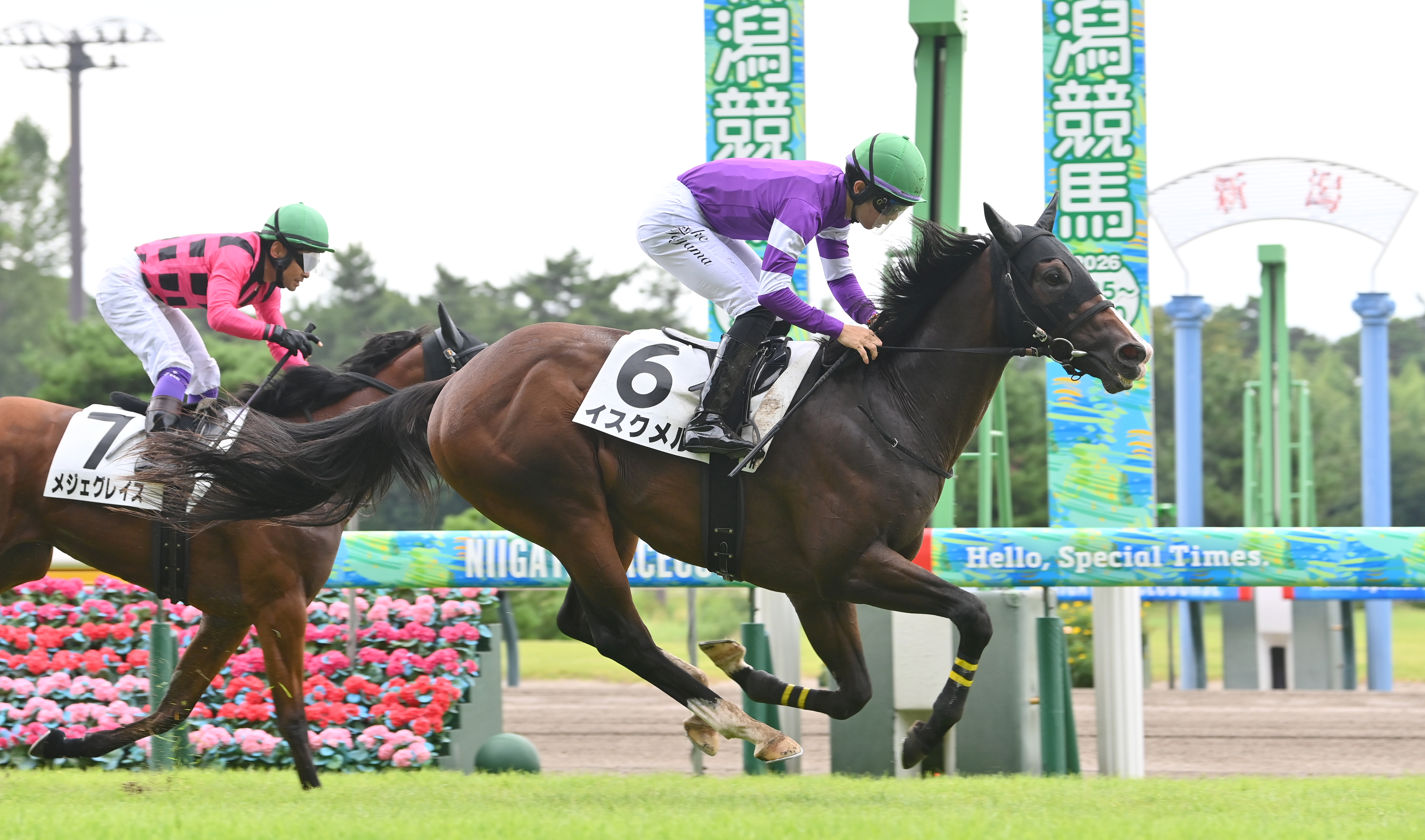 2歳新馬・新潟2R】イスクメル後方追走から大外一気でデビュー勝ち