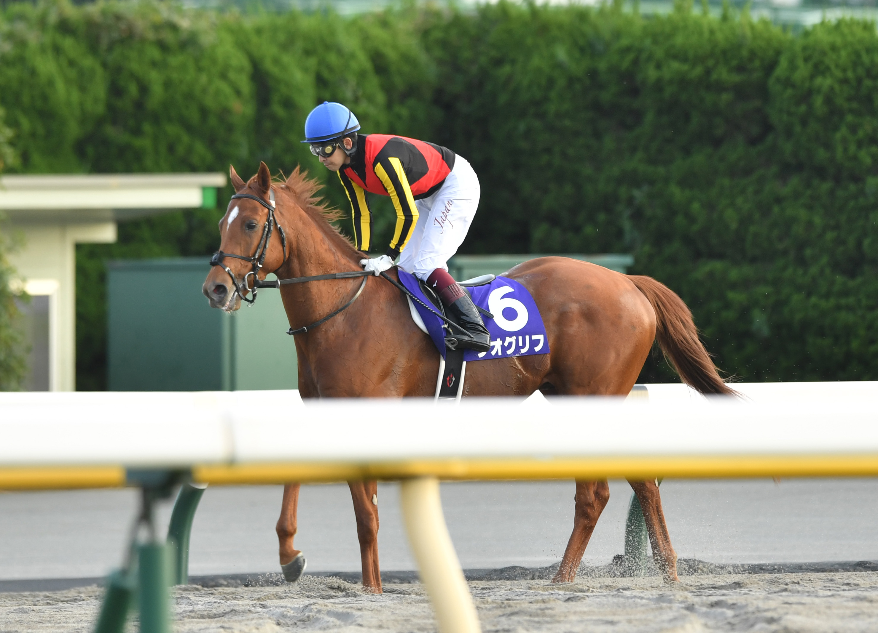 天皇賞 秋 ジオグリフは昨年に続く皐月賞馬ｖならず９着 福永 コンディションは良かったですが サンスポzbat