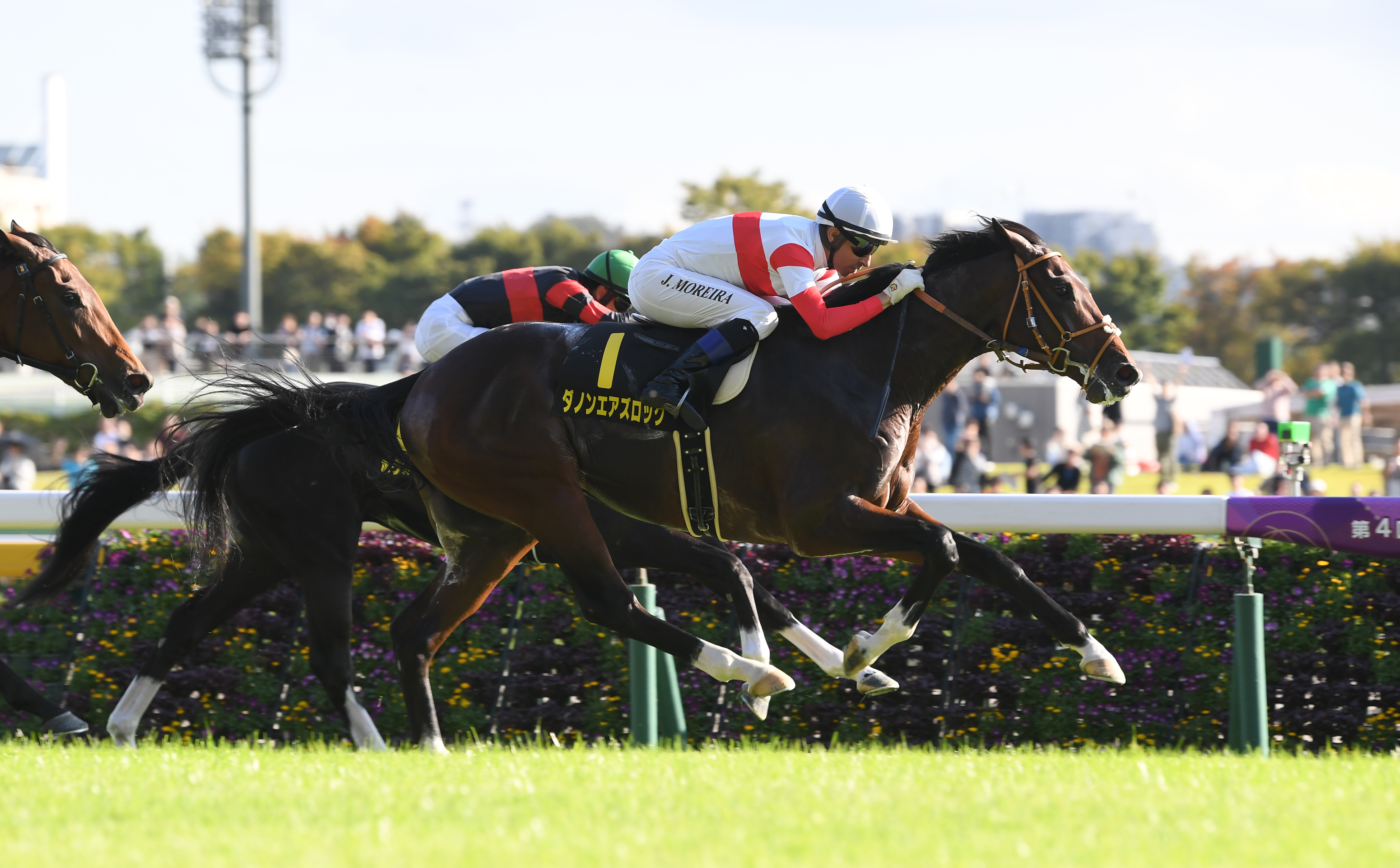 【２２日高知１０Ｒ】ナムラボス連勝機