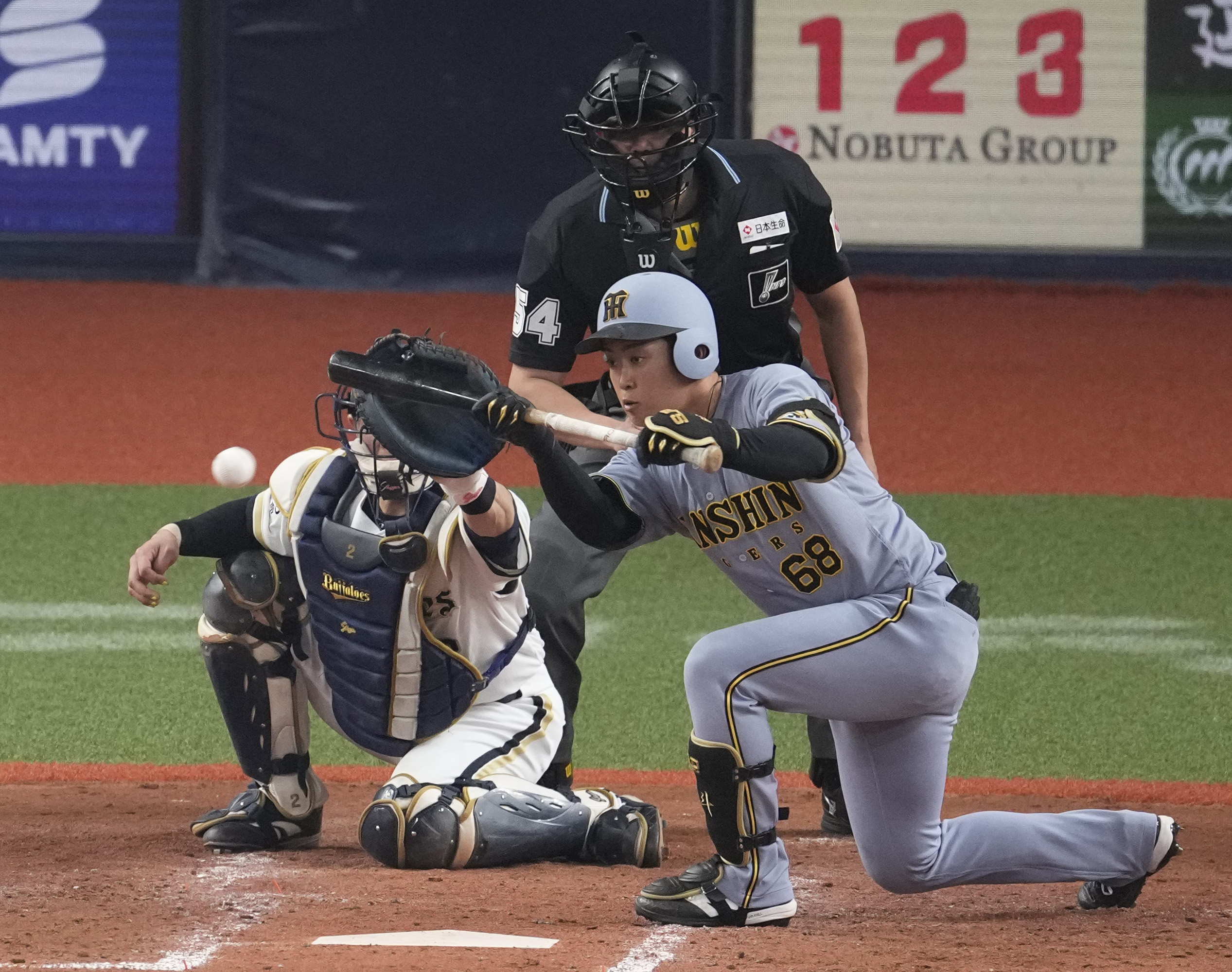 阪神・中川勇斗「持ち味を消さずにガンガンやっていきたい」OP戦打率