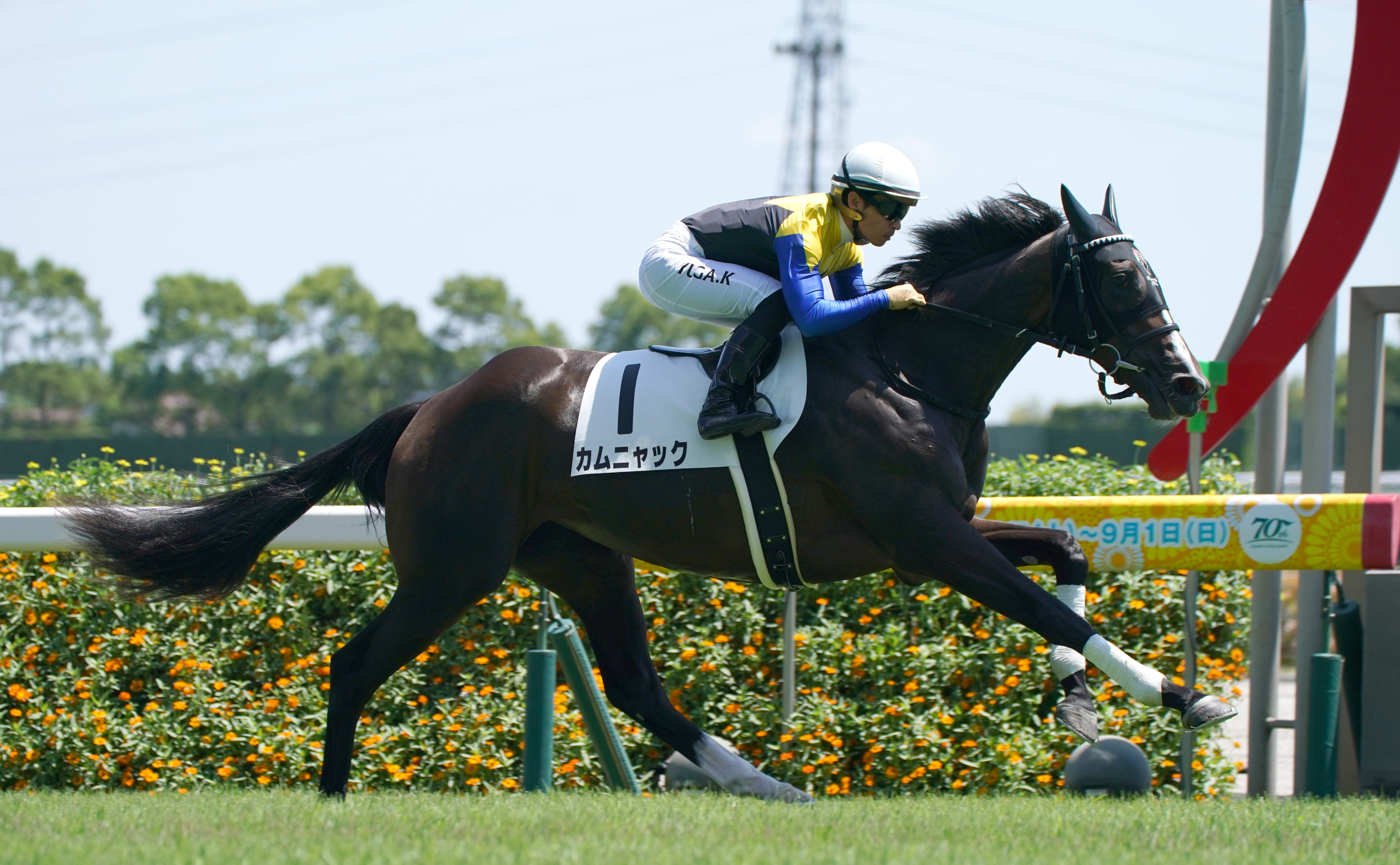中国 加彩 騎馬人物 オークス馬カムニャックは復帰戦のローズSで川田将雅騎手との