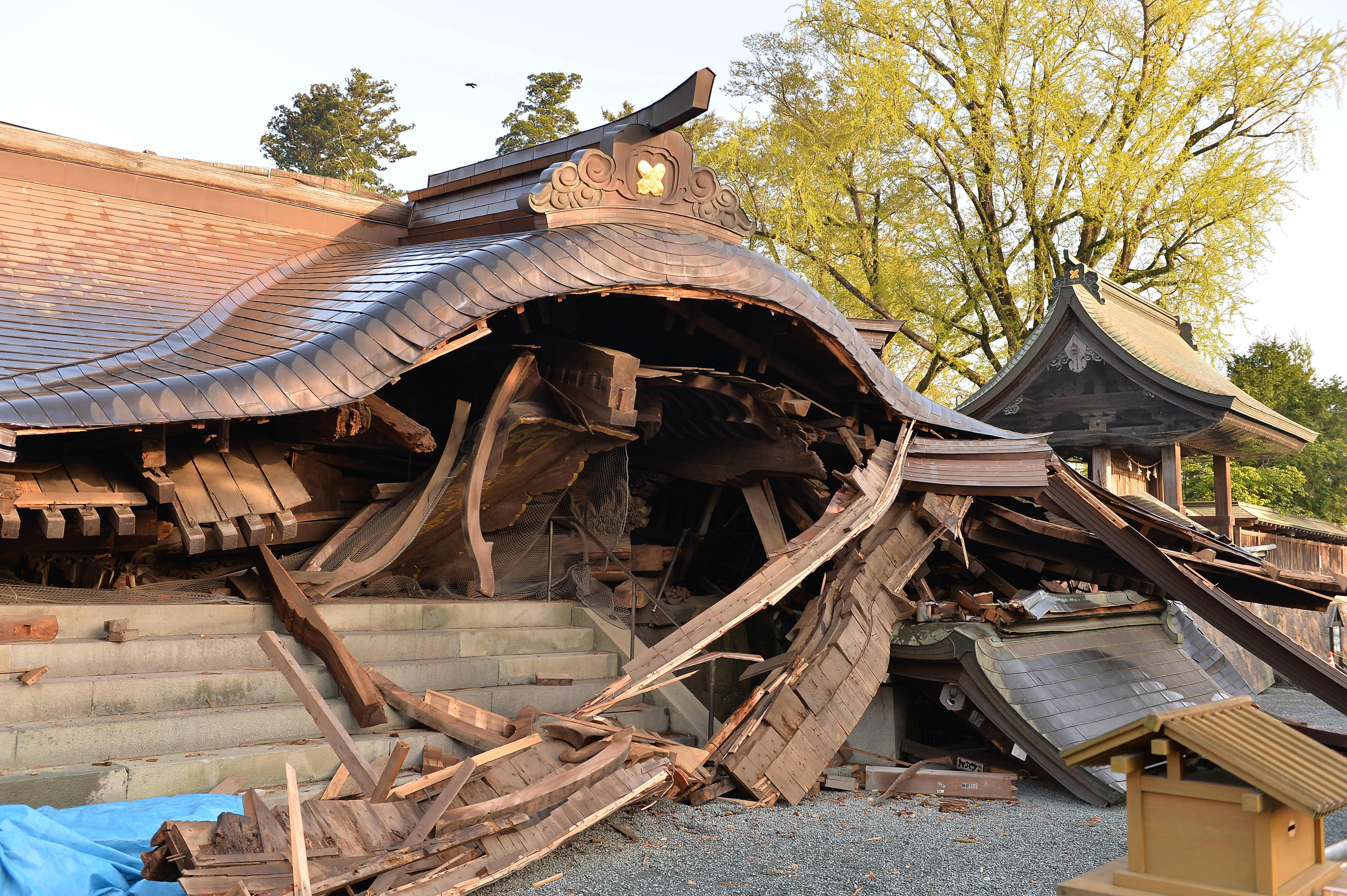 boa Tall Snake EP 生産終了廃盤 ハイパーブレード シグマ プレミア＜高反発＞｜ワークスゴルフ公式