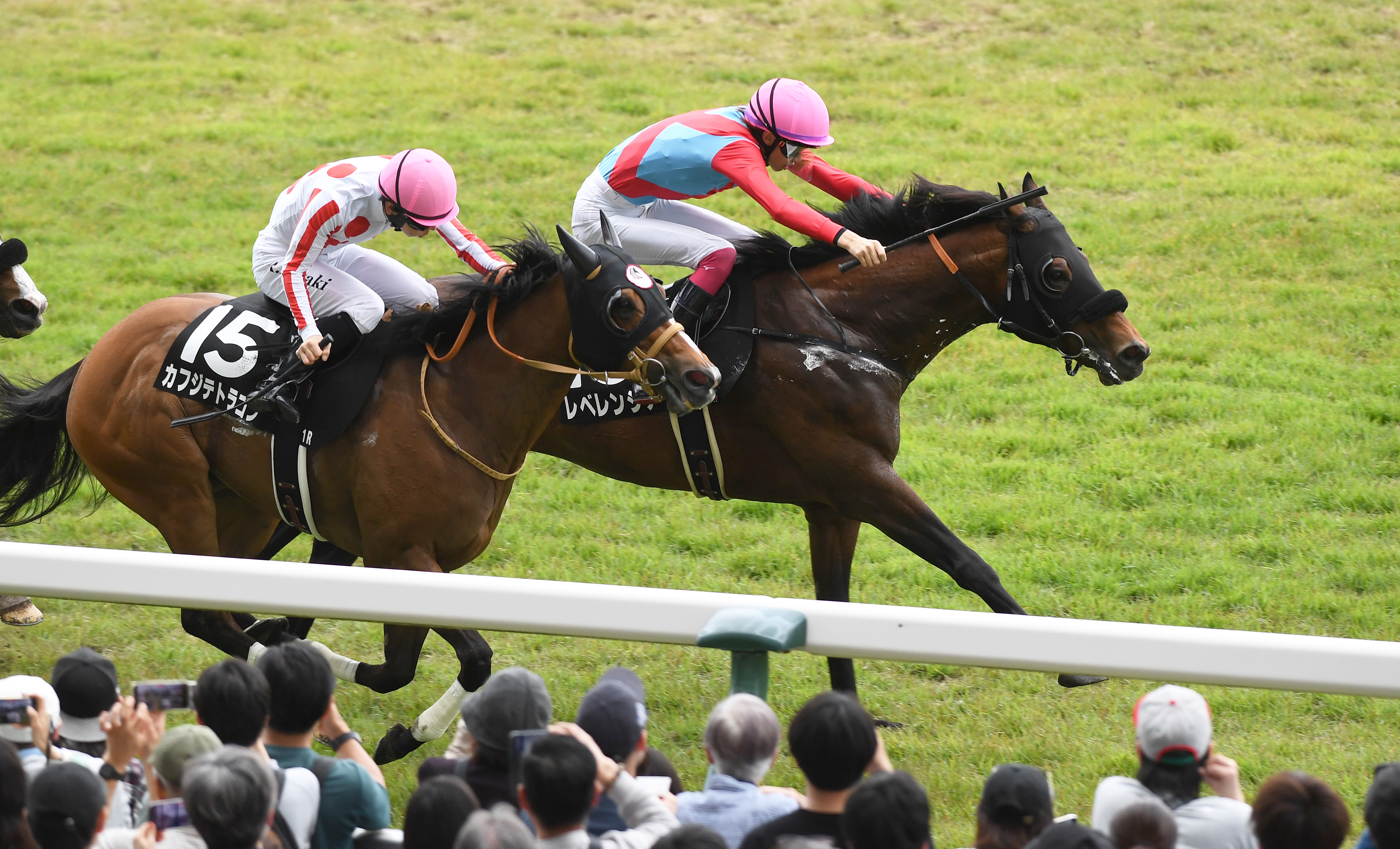 駿風S】レベレンシアが千直初挑戦V 松本大輝騎手「いい形で競馬