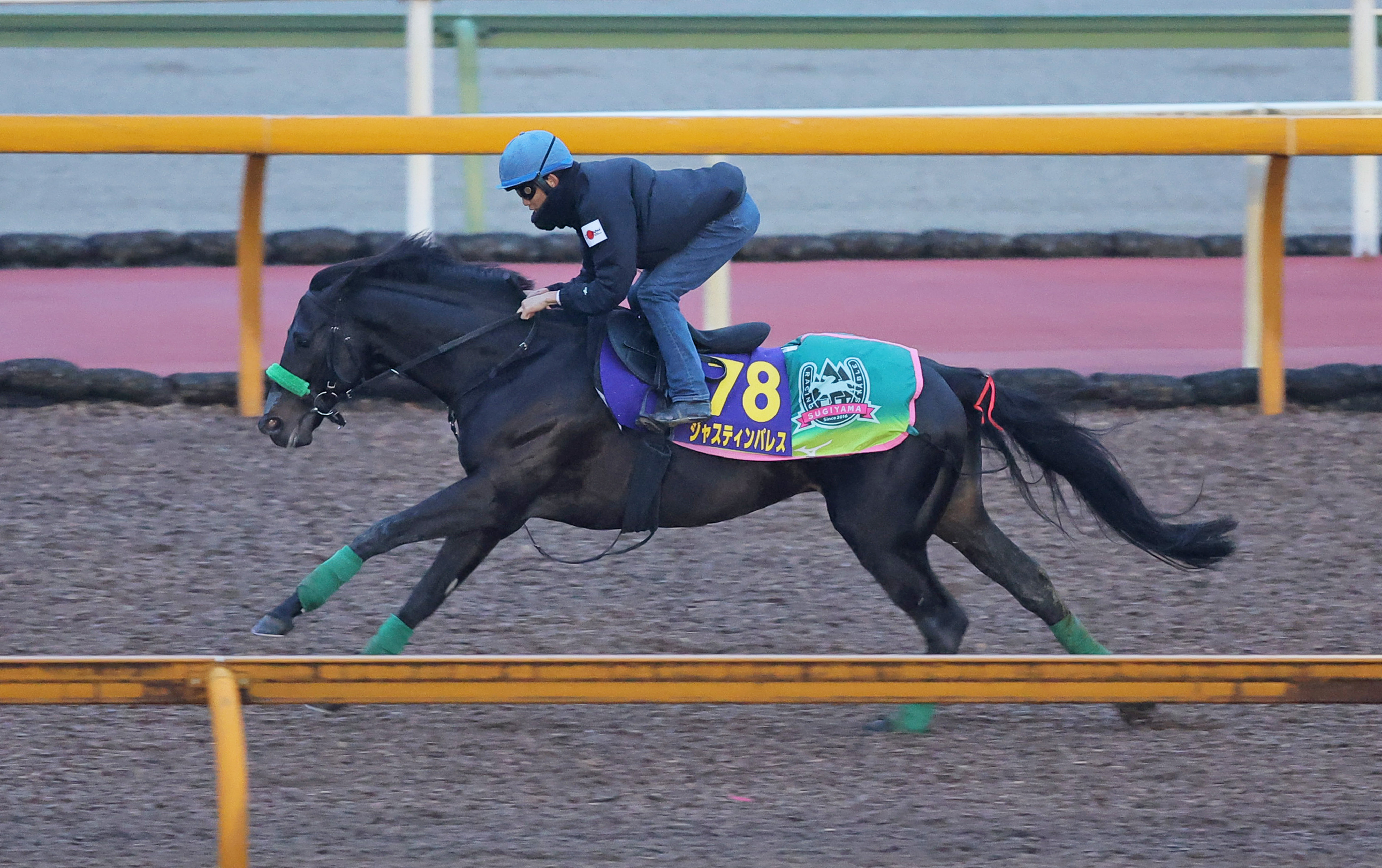 有馬記念 追い切り】ラストランのジャスティンパレスはいつもどおり 半