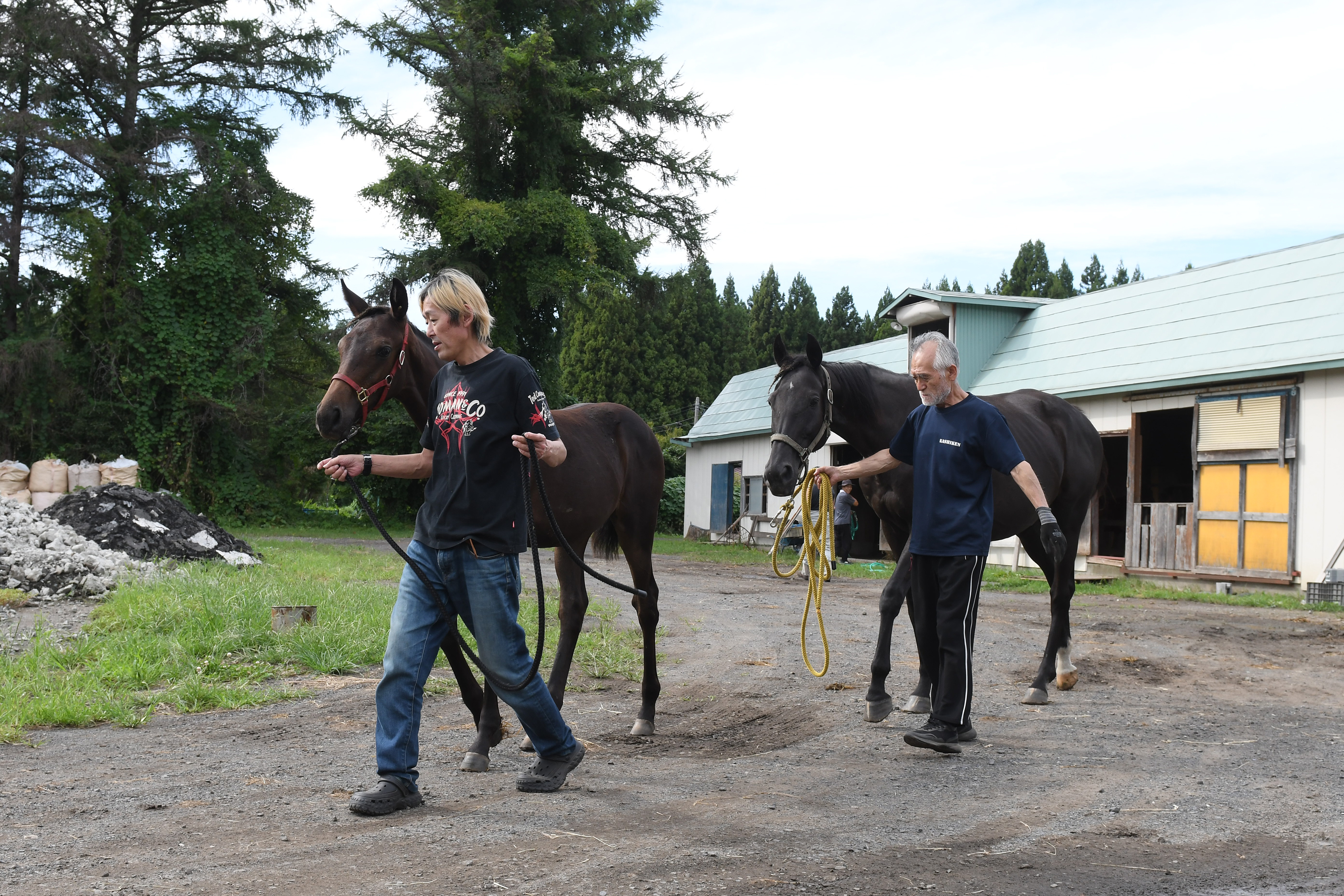 ハヤテノフクノスケの故郷ワールドファームを訪ねて（後編） 火事から