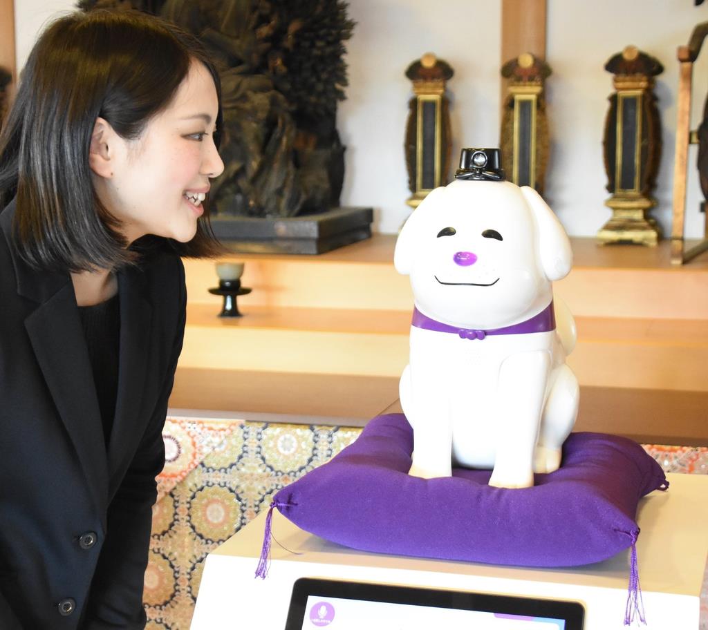ユキコロマルさん専用 おしゃべりできる「雪丸」のロボ 観光案内や読経も 奈良・王寺 - 産経