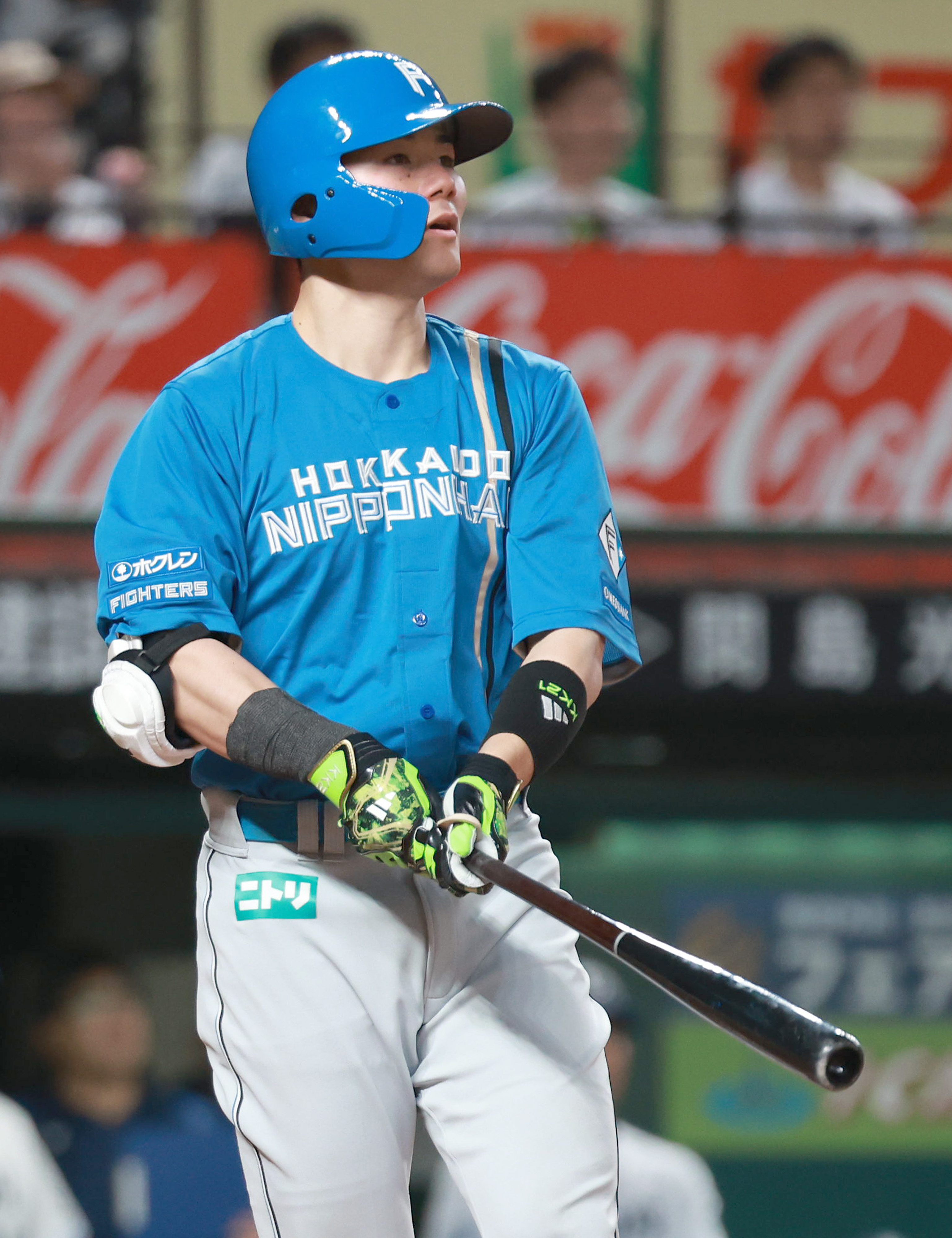 日本ハムファイターズ 清宮幸太郎 バット NPBマーク 支給品 84.5cm