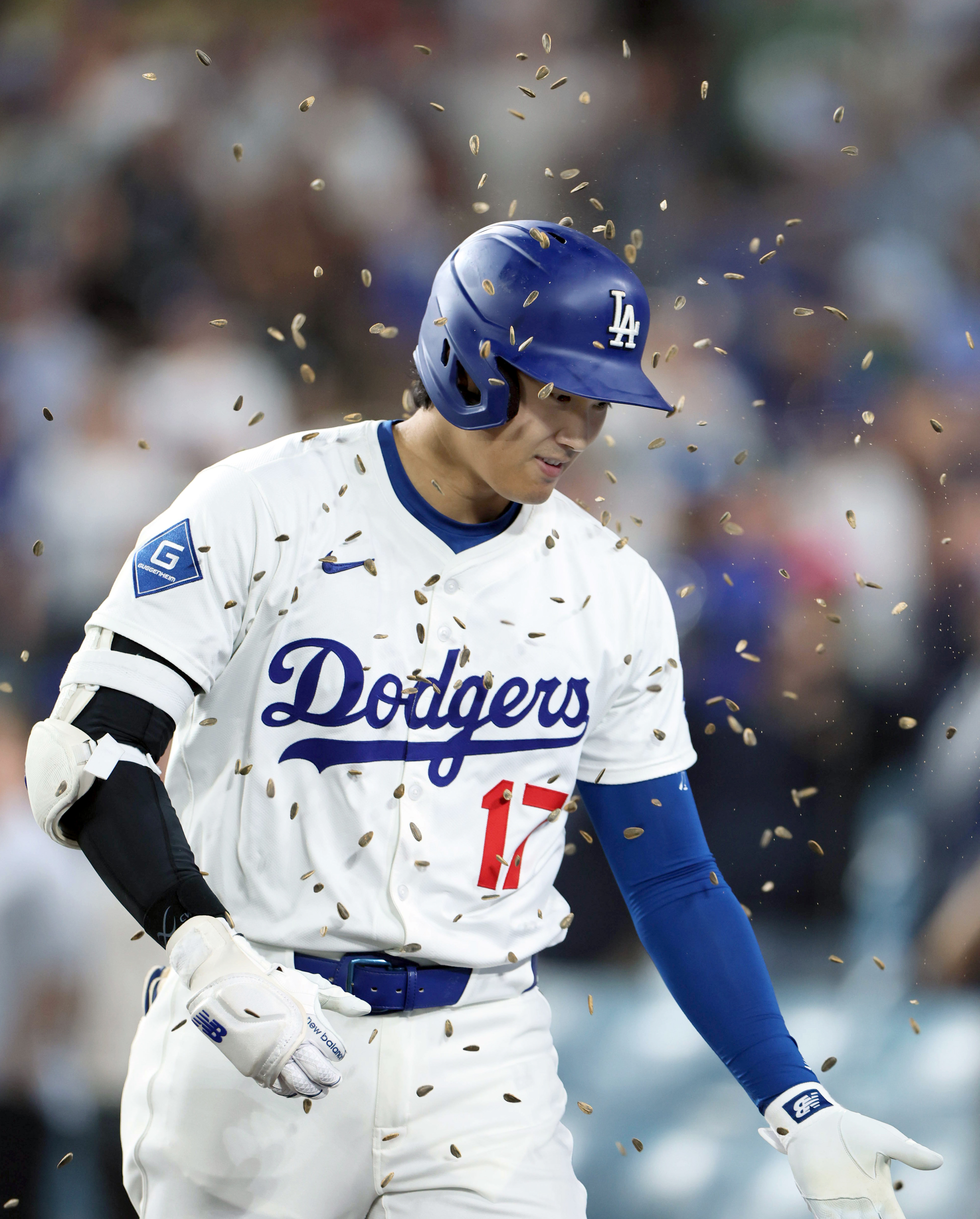 データBOX】大谷翔平がメジャー日本選手初の4試合連続本塁打