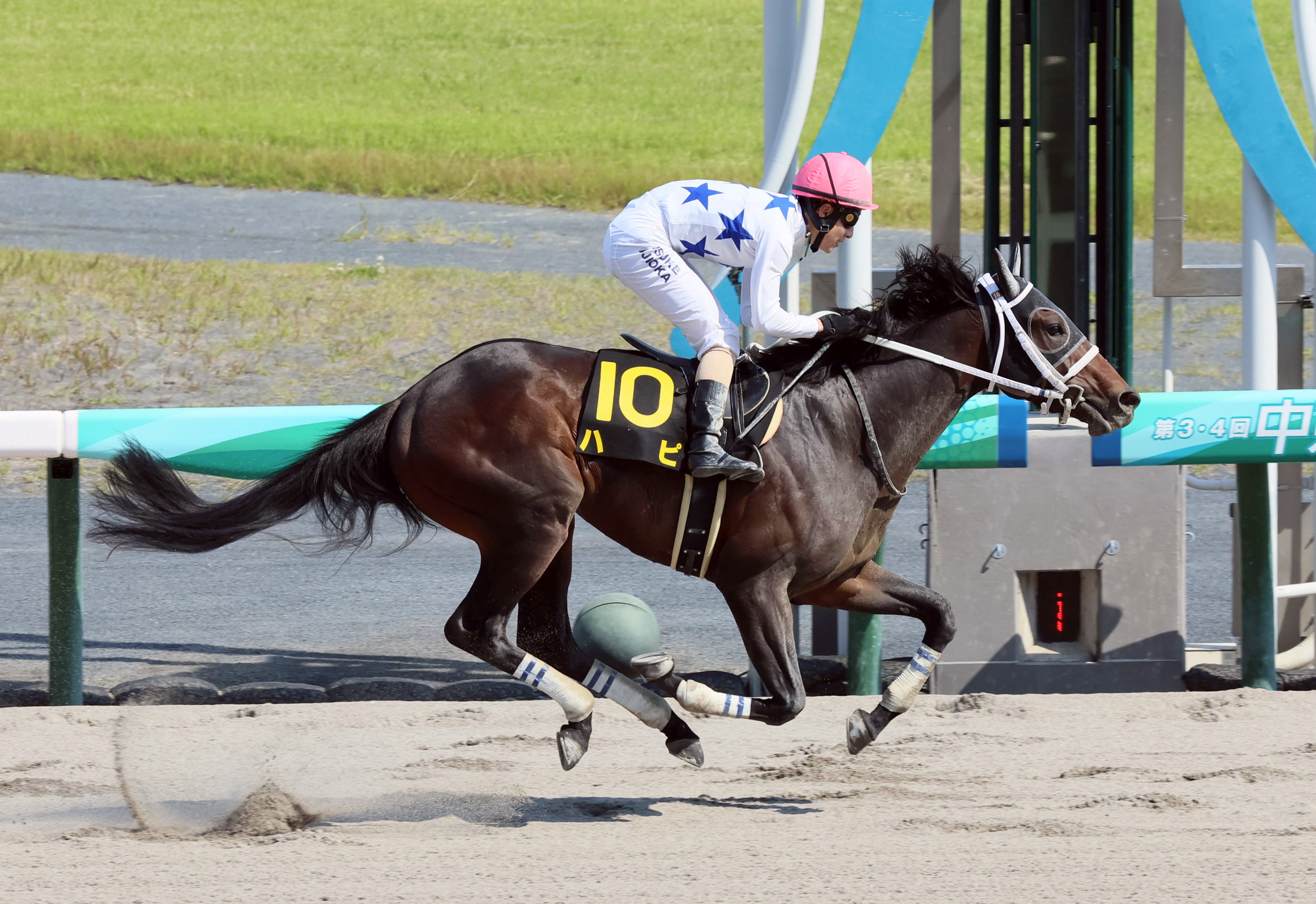 【３歳以上次走報】ハピはみやこＳへ向かう