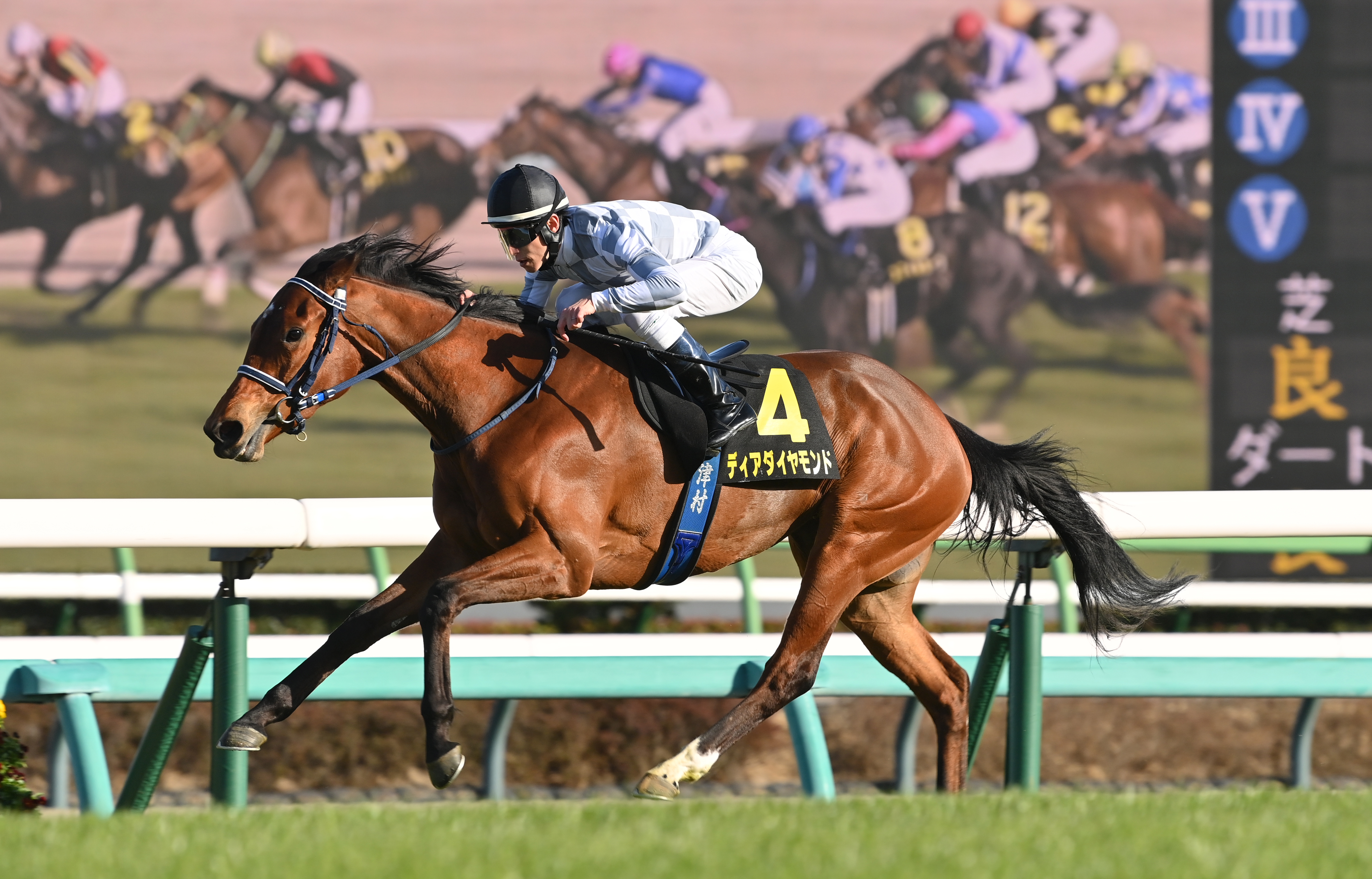 アネモネS】ディアダイヤモンド快勝、桜切符つかんだ！ 津村明秀騎手