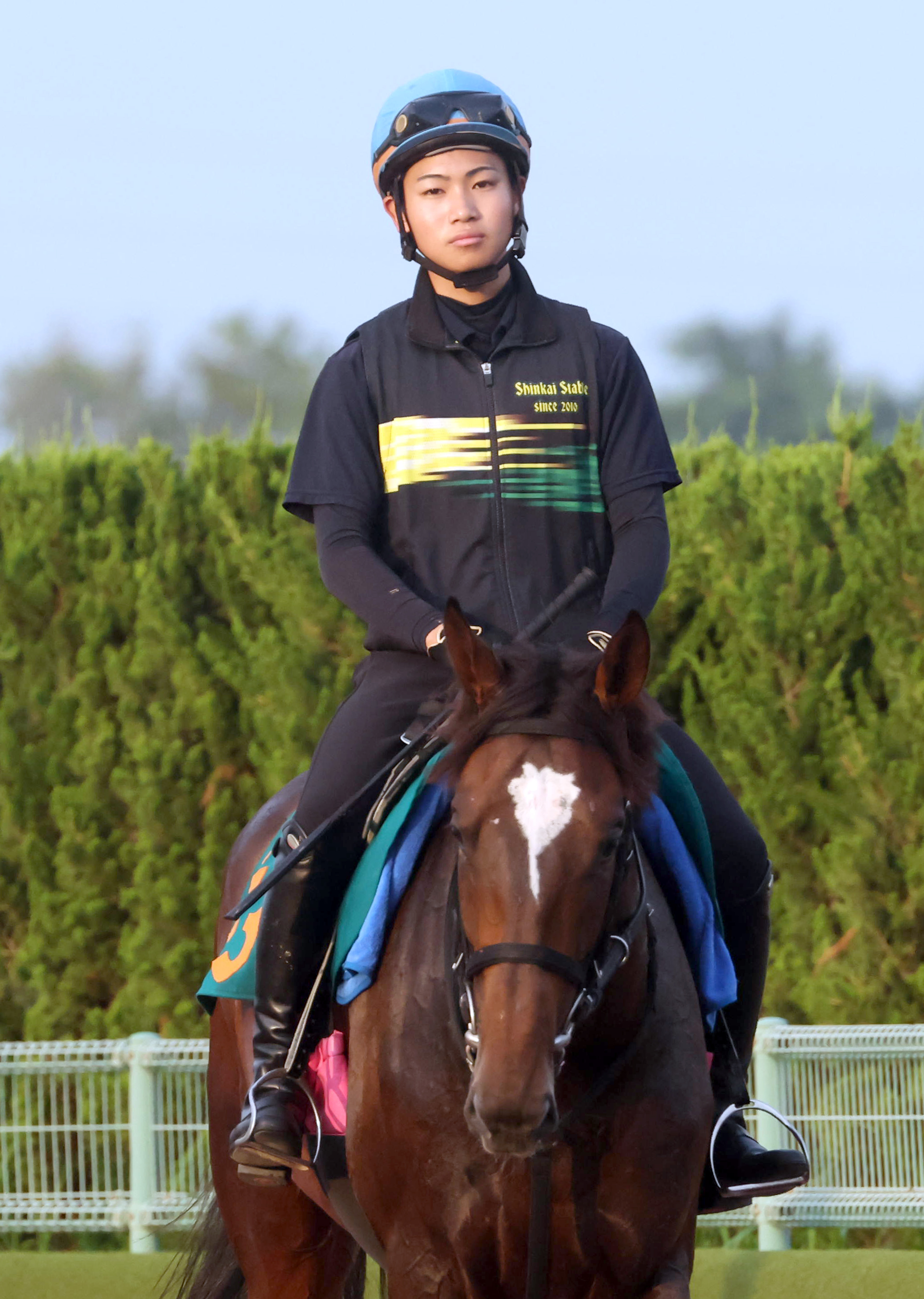【中古】 中央競馬騎手全鑑/蒼馬社/石川ワタル 中古】 中央競馬騎手全鑑/蒼馬社/石川ワタル