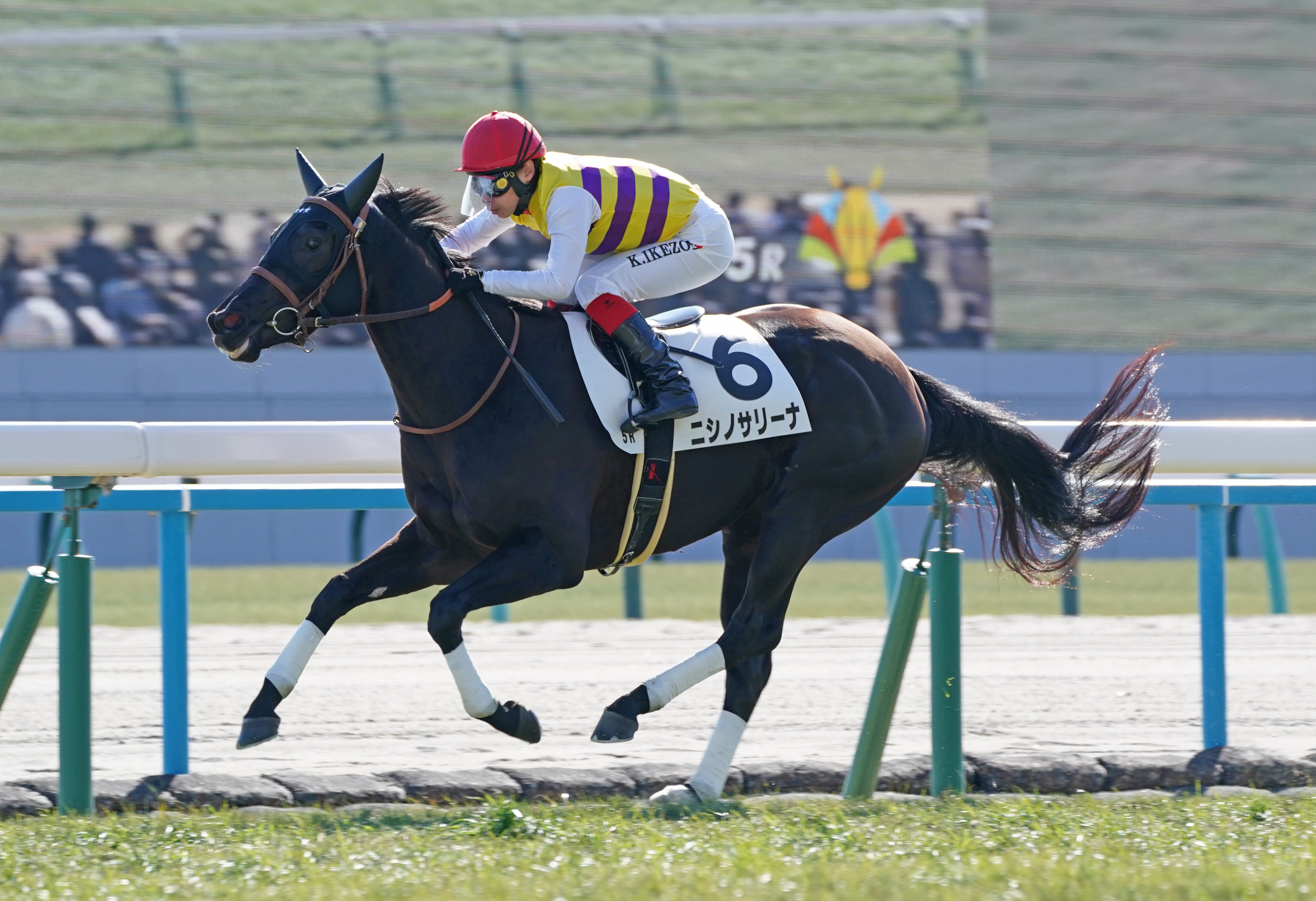 若駒ピカイチ】桜狙える逸材ニシノサリーナ - サンスポZBAT!