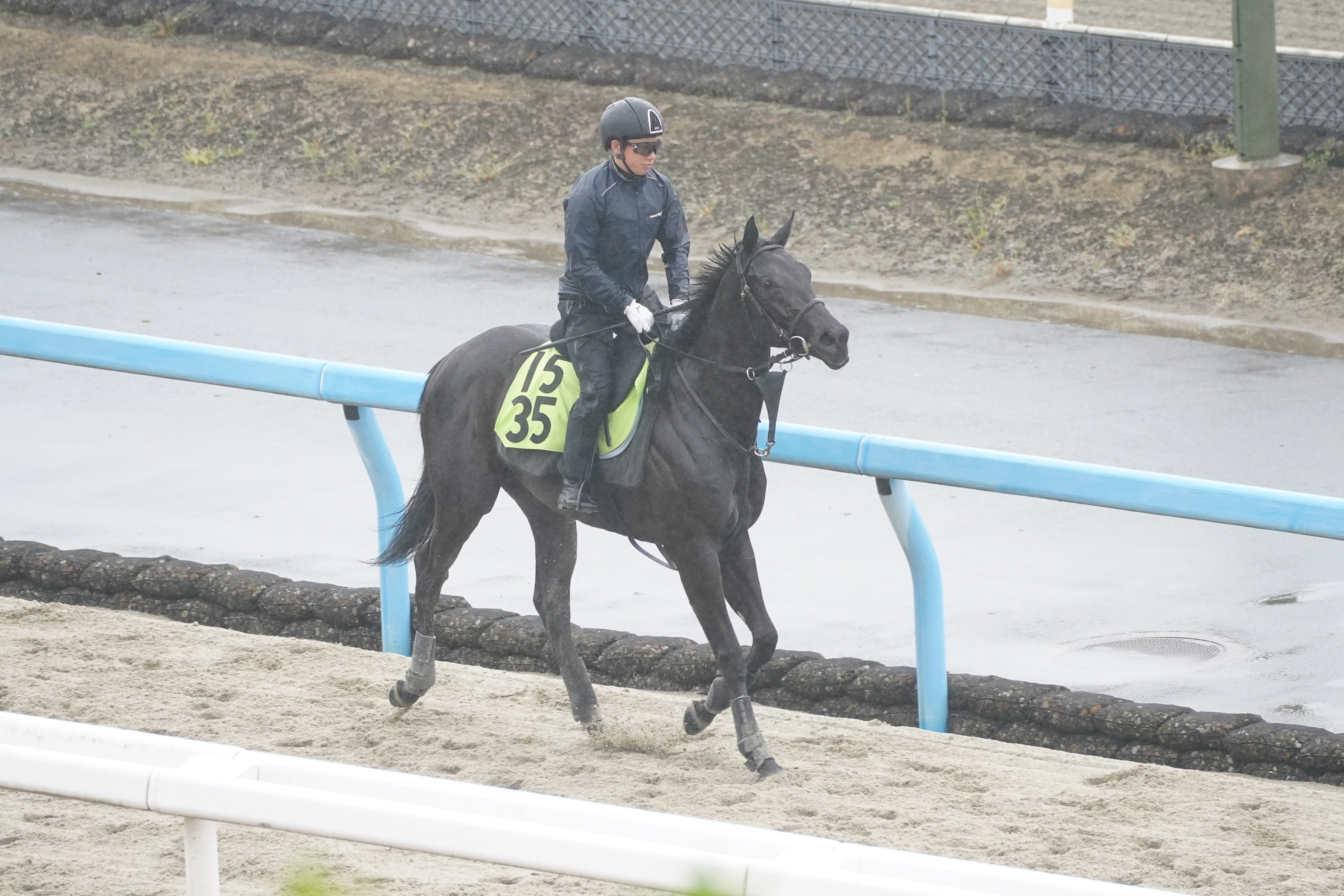 リバティアイランド　セット 2023年に圧倒的な強さで牝馬三冠を達成したリバティアイランド号