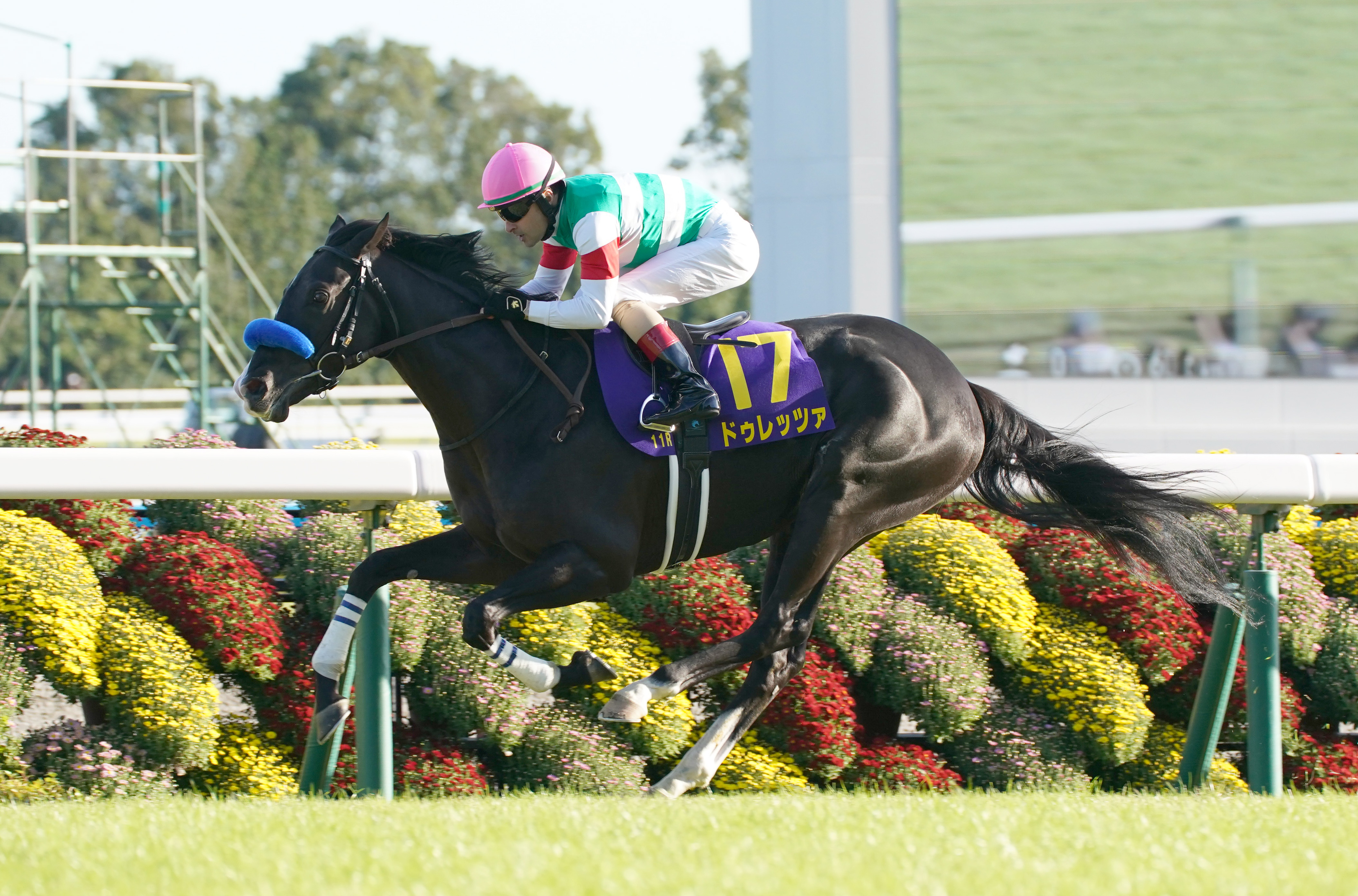 競馬　馬　フレデリック・レミントン画集 極ウマ】日刊スポーツ競馬公式 on X: 