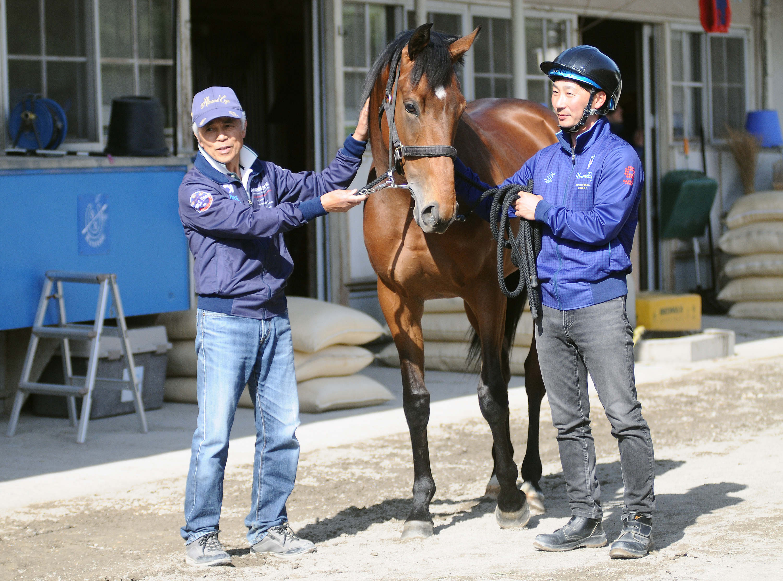 アーモンドアイの初子アロンズロッドが国枝厩舎に入厩 - サンスポZBAT!