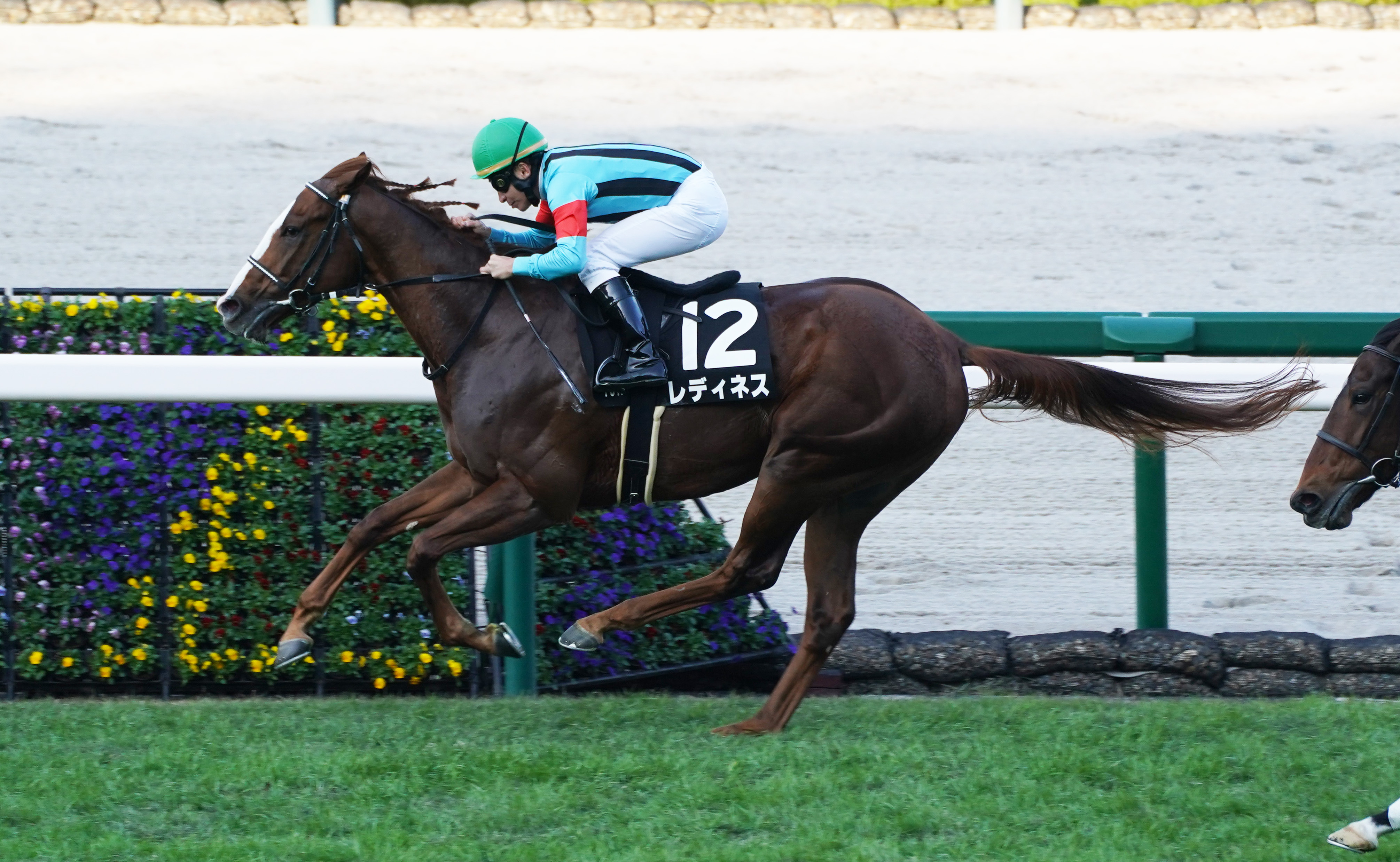 レア　ファンク.レダン　サンモッツの競馬リトグラフA/P レアファンク.レダンサンモッツの競馬リトグラフA/P
