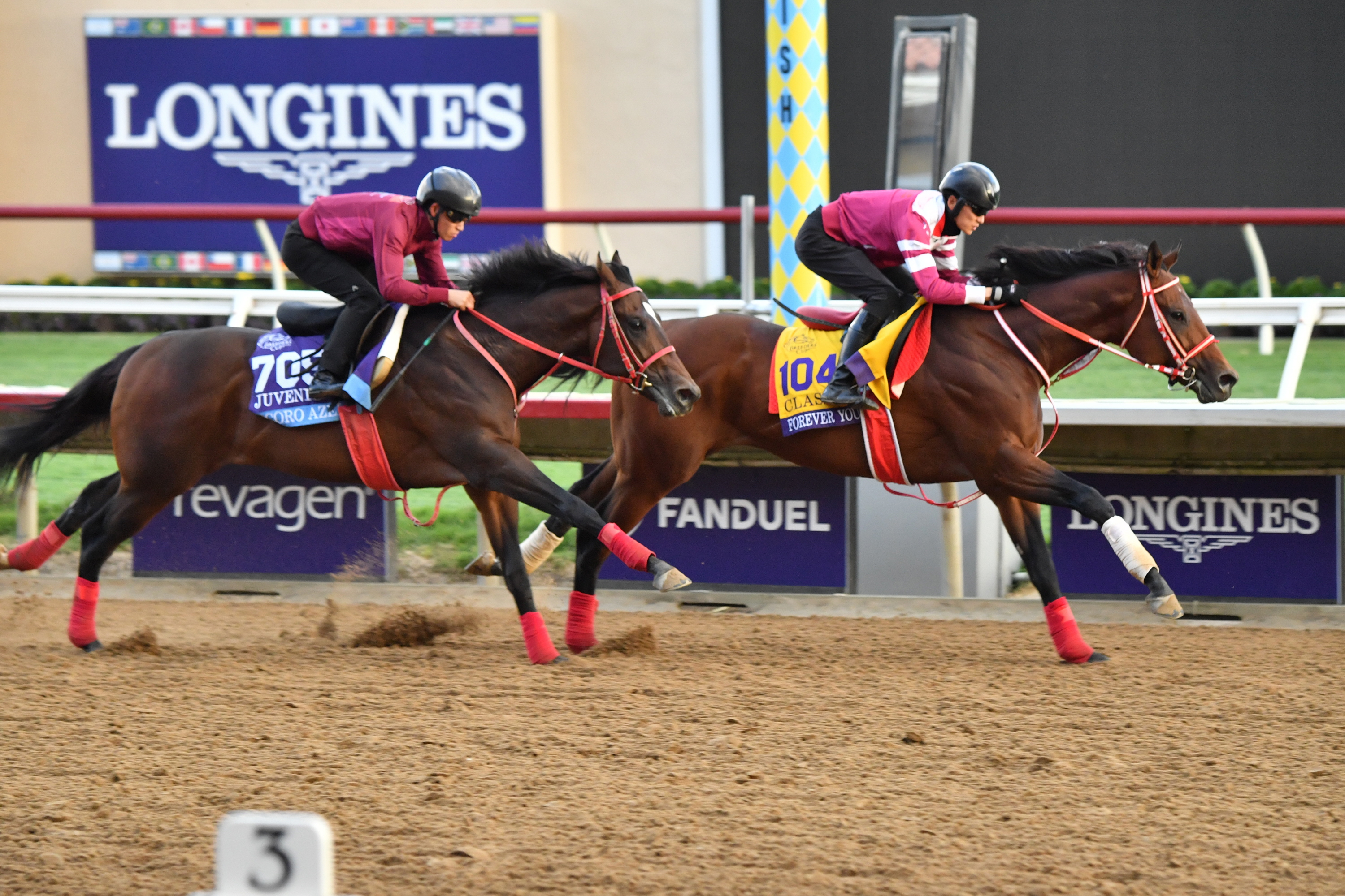 BCクラシック】快挙へ順調！ フォーエバーヤングは1馬身先着 坂井瑠星