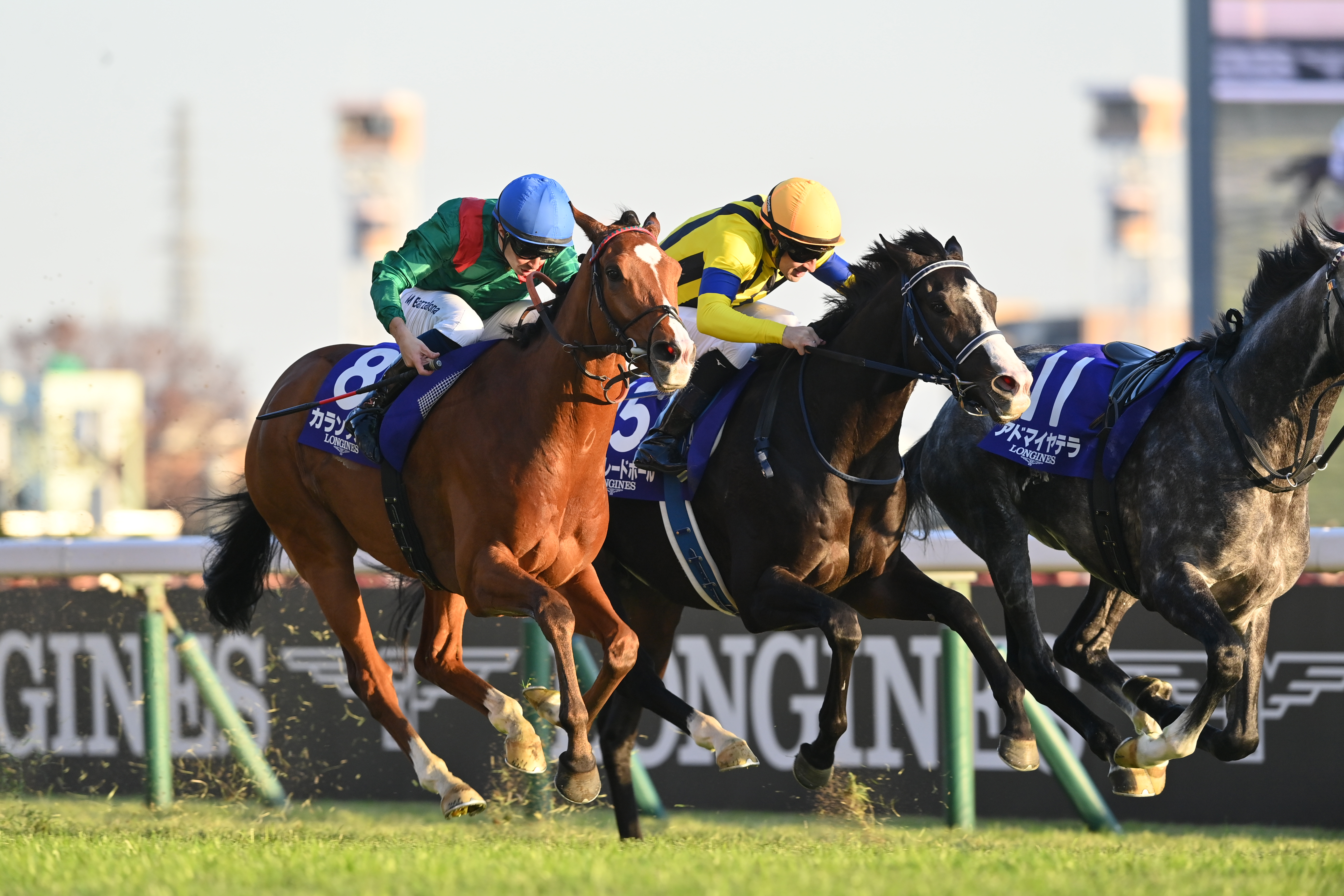 ジャパンC】カランダガン世界レコードV！ “世界一”の末脚で獲った9億