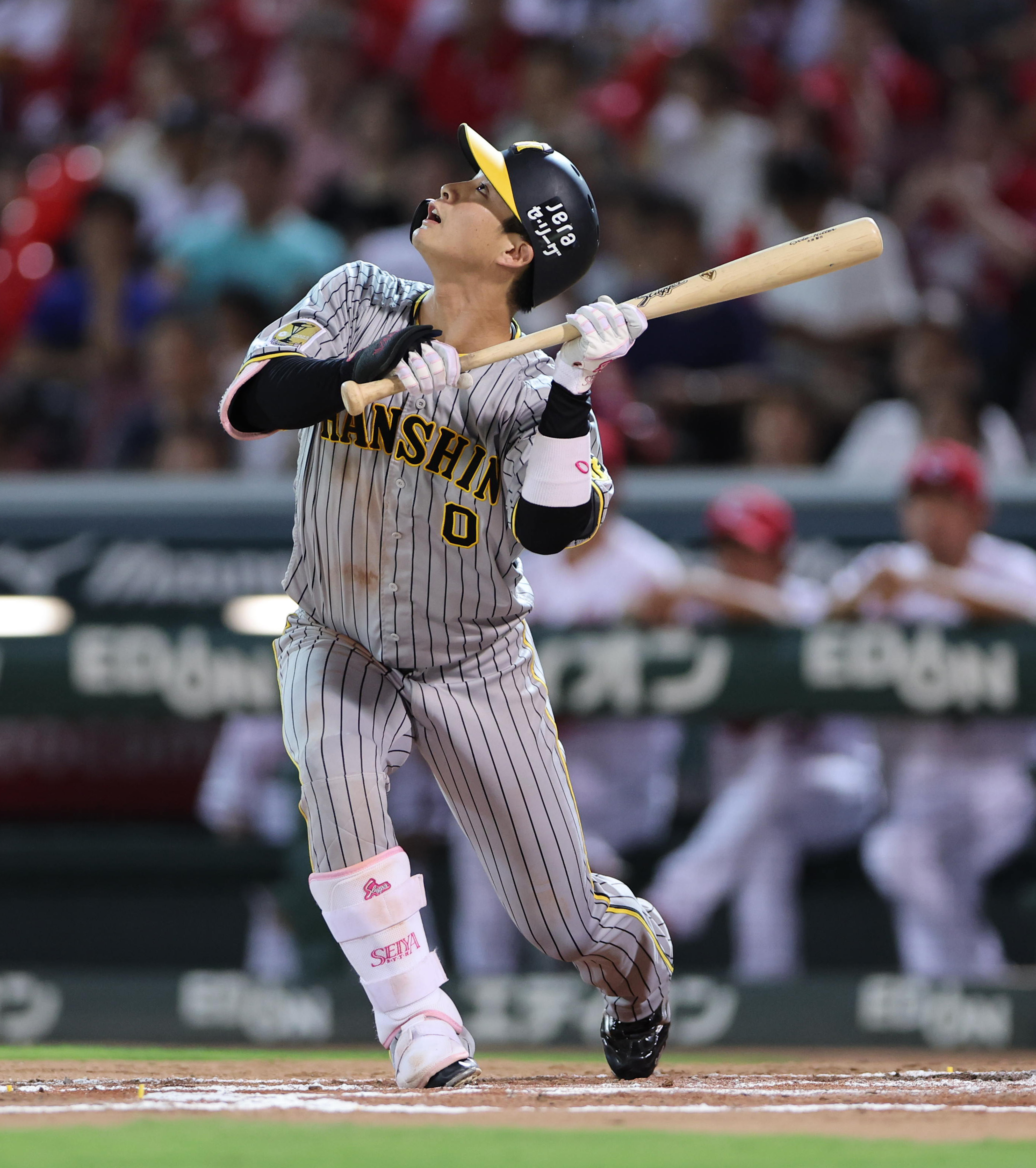 阪神タイガース　木浪聖也選手　使用済みバット　ヒビ割れ有り　① 阪神 木浪聖也がファインプレー！牧の打球を横っ跳びでキャッチ