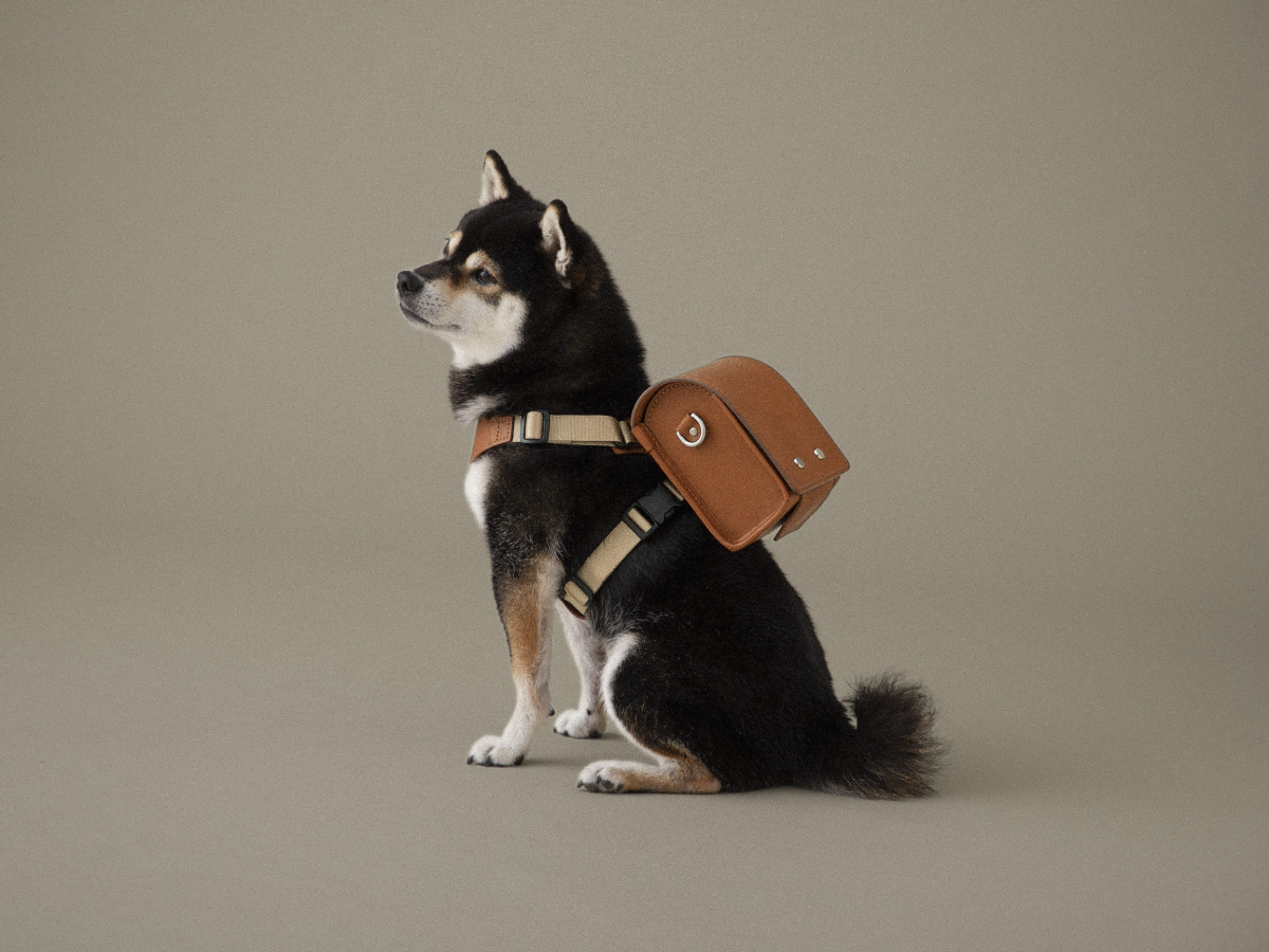 予約限定品ペットランドセル　大谷翔平選手の愛犬デコピン　土屋鞄　HC1101BR 予約限定品ペットランドセル 大谷翔平選手の愛犬デコピン 土屋鞄