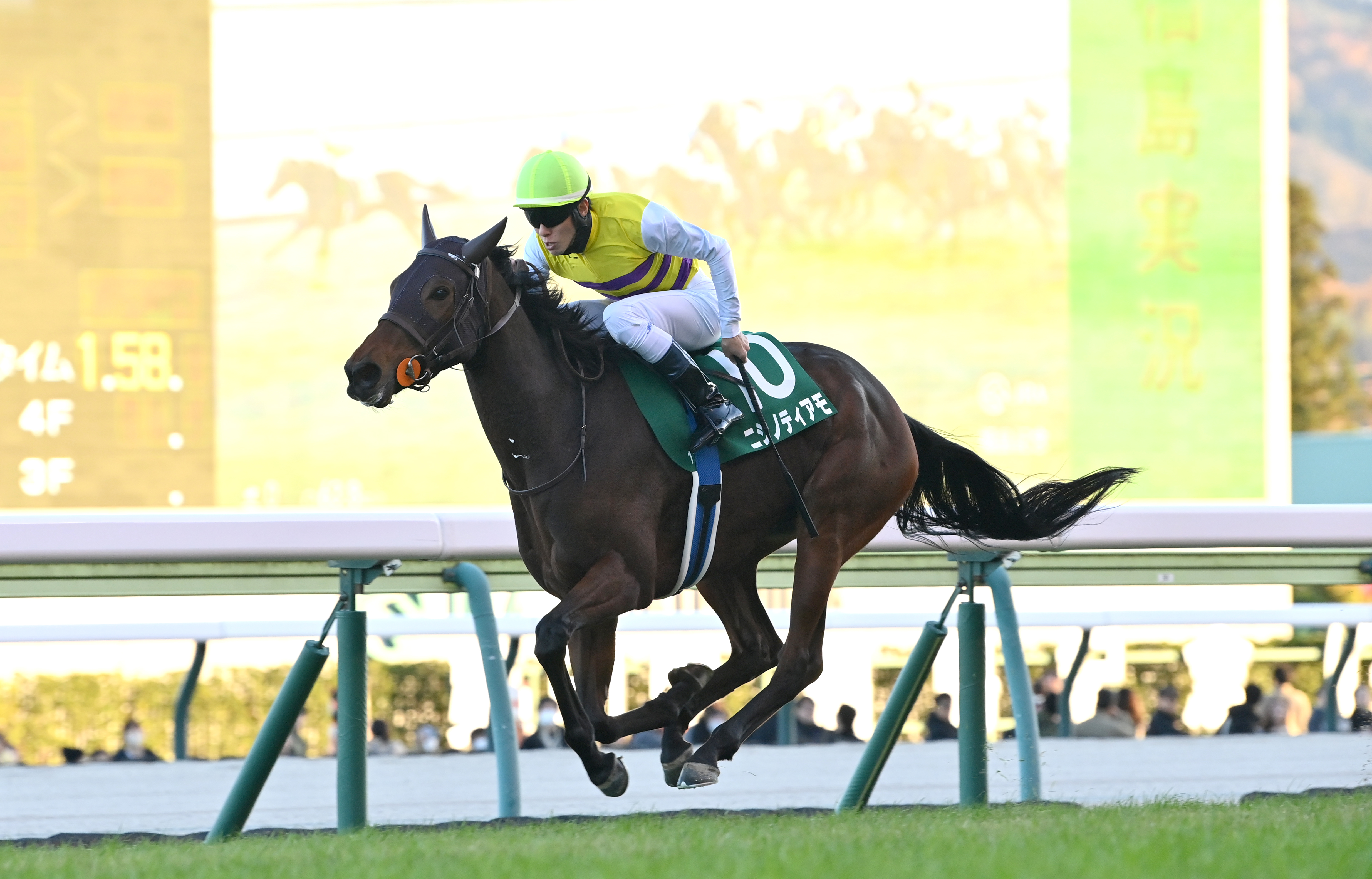 中山牝馬S】レース展望 - サンスポZBAT!