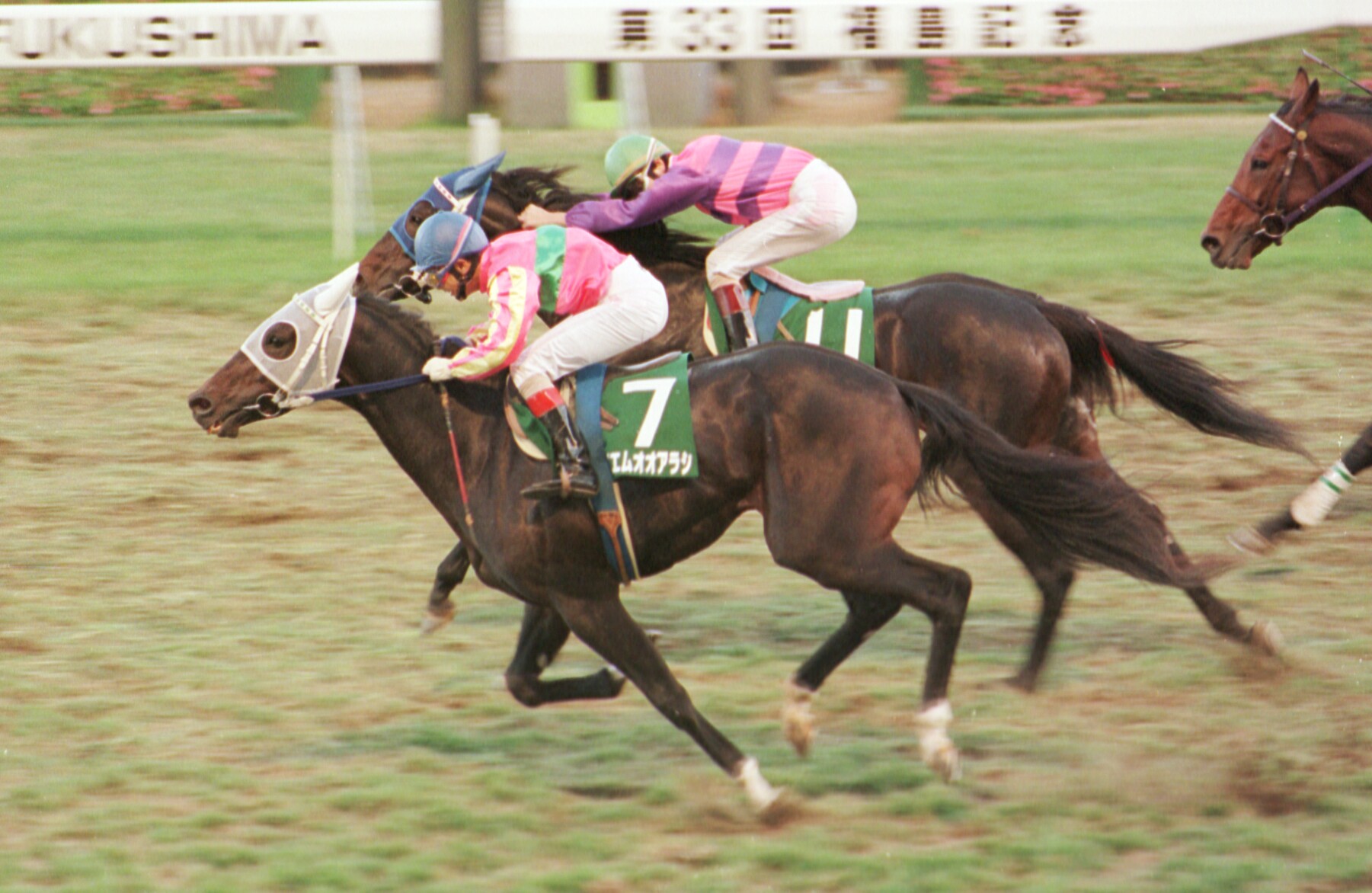 存命の最高齢JRA平地重賞勝ち馬テイエムオオアラシ死す…33歳 1997年
