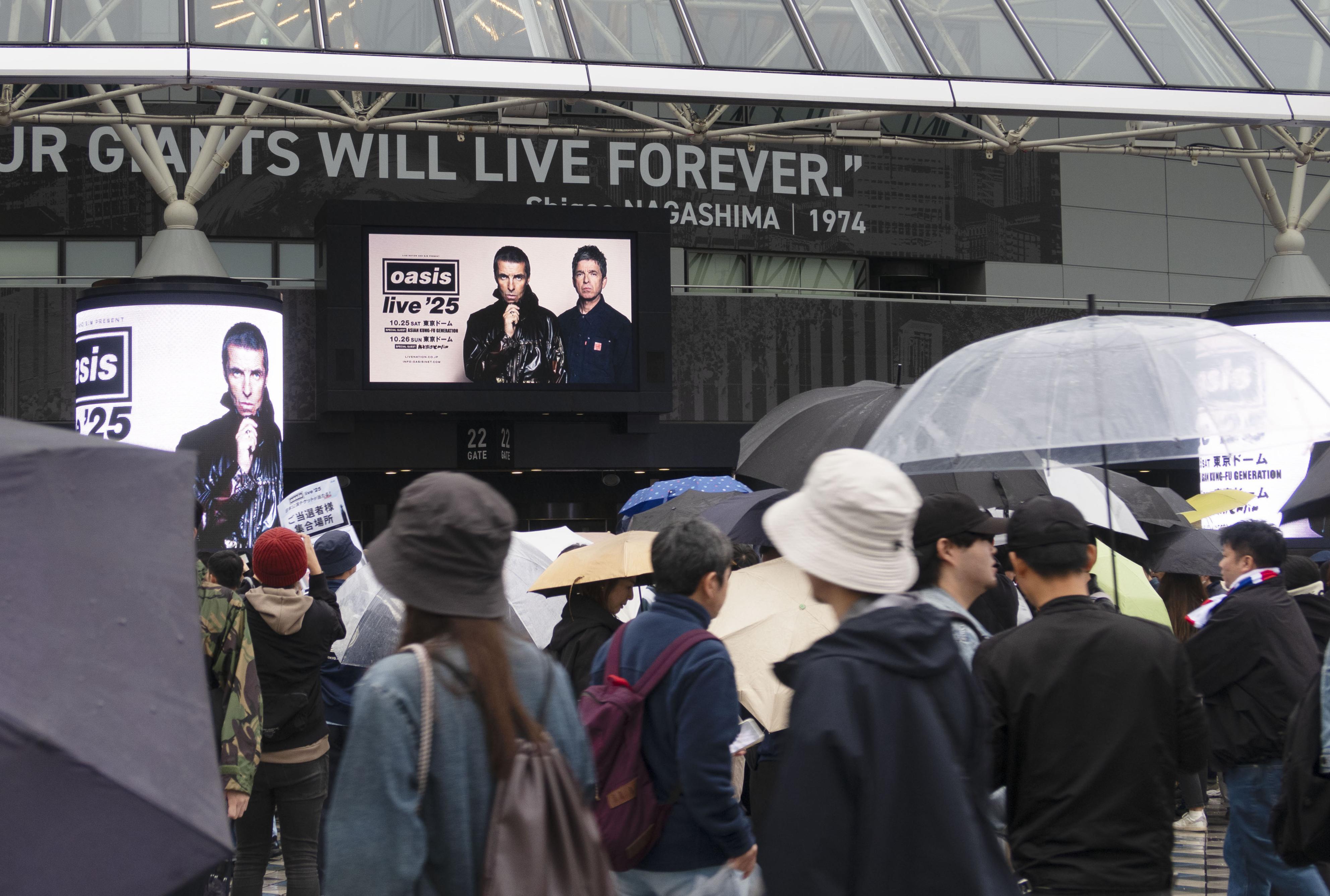 ぴ*島様 oasis オアシス 湯呑 ライブ'25 東京公演 日本公式 ノエル 湯呑 ライブ'25 | Oasis Live '25 JAPAN Official Online Store