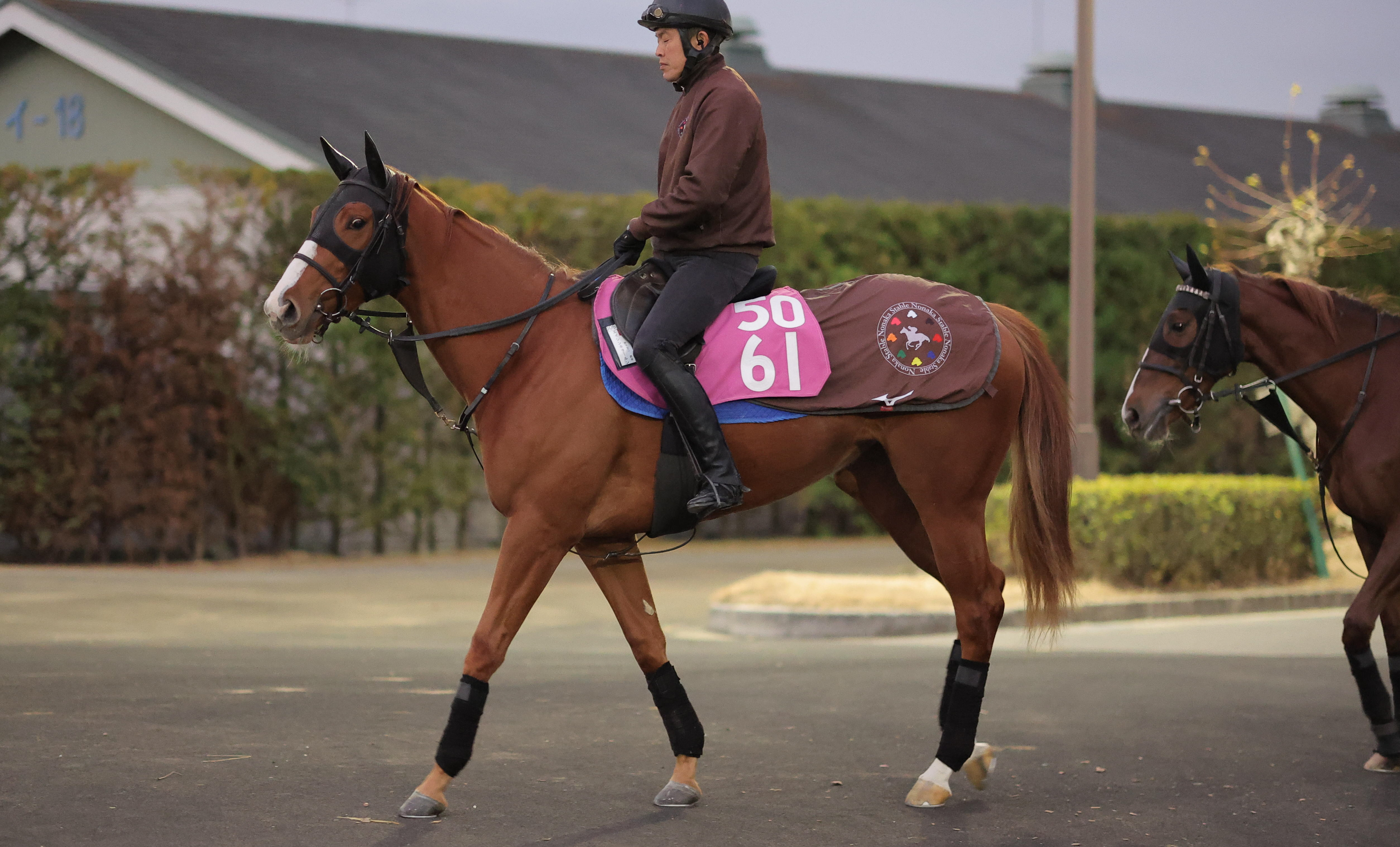 今日の注目新馬】エイシンキタールン動き良化 団野大成騎手「この条件