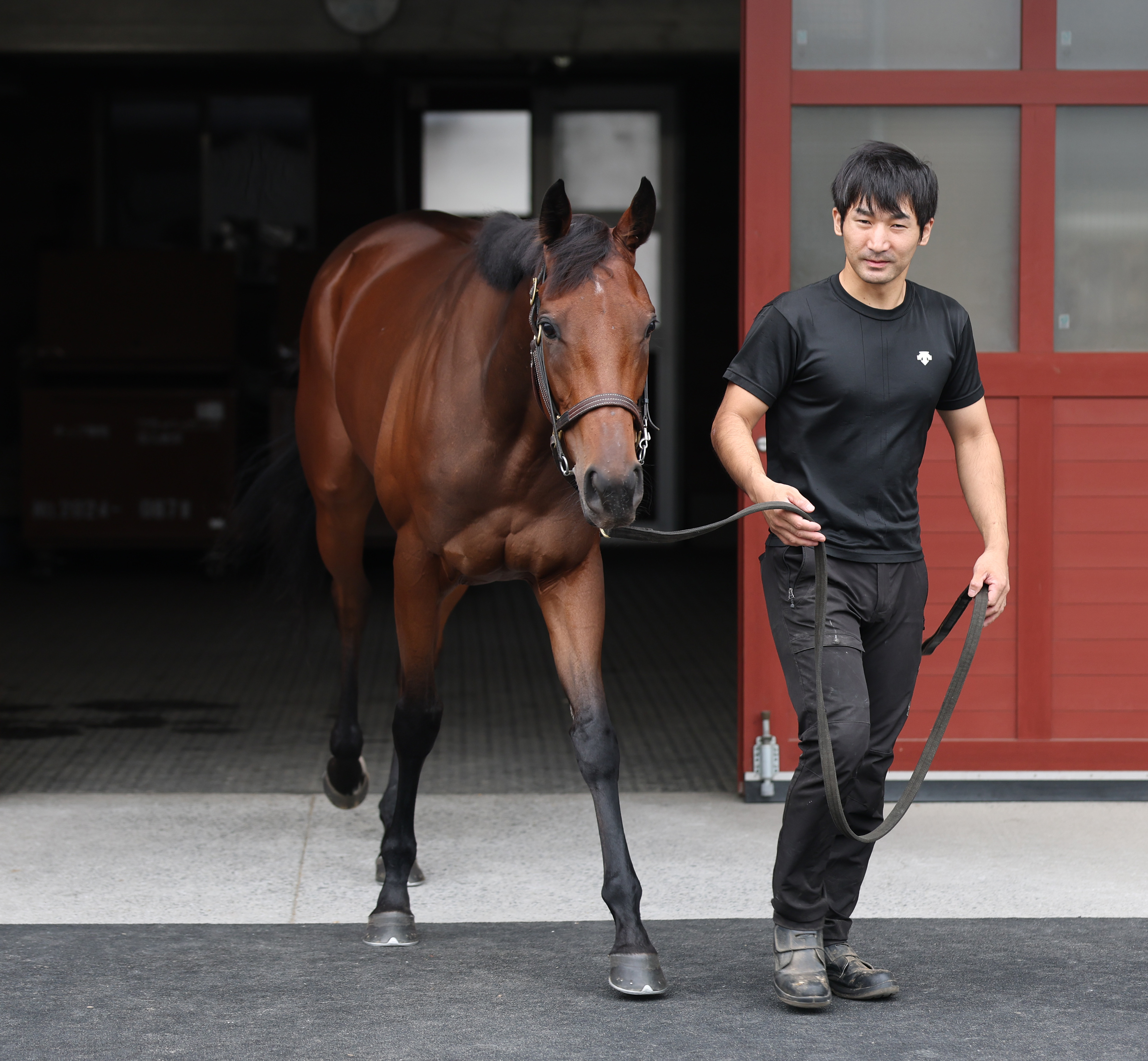 産経賞オールカマー】厩舎の話 - サンスポZBAT!