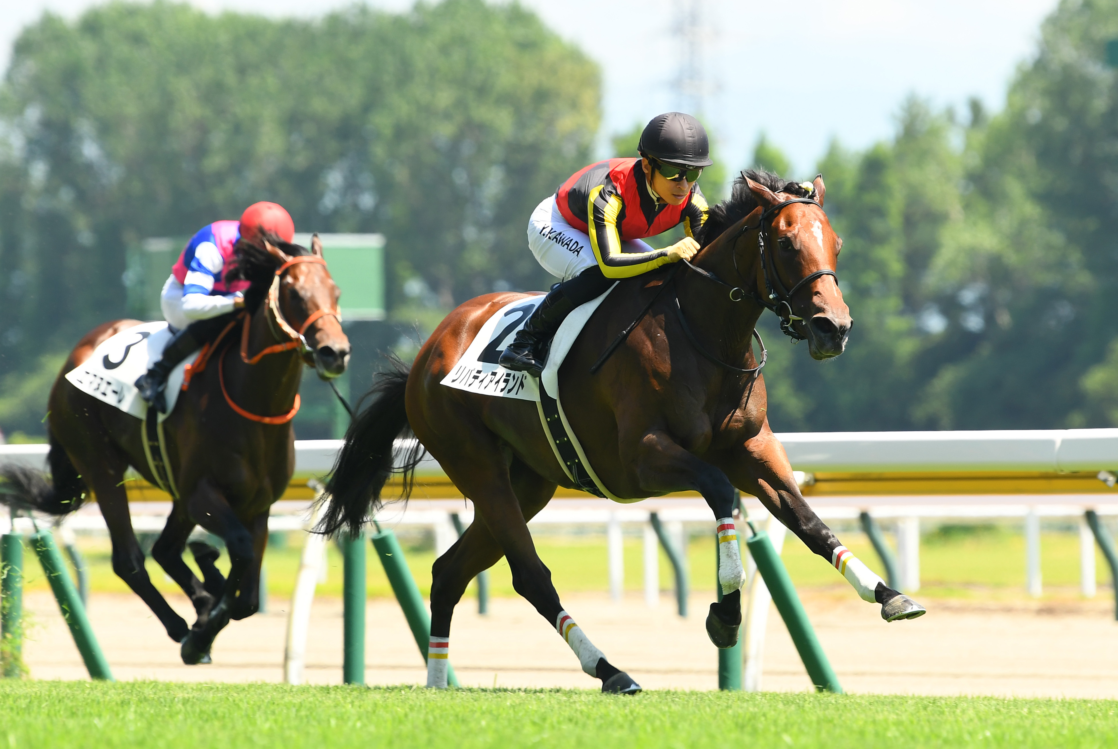 2歳次走報】リバティアイランドが新潟2歳Sを視野に - サンスポZBAT!