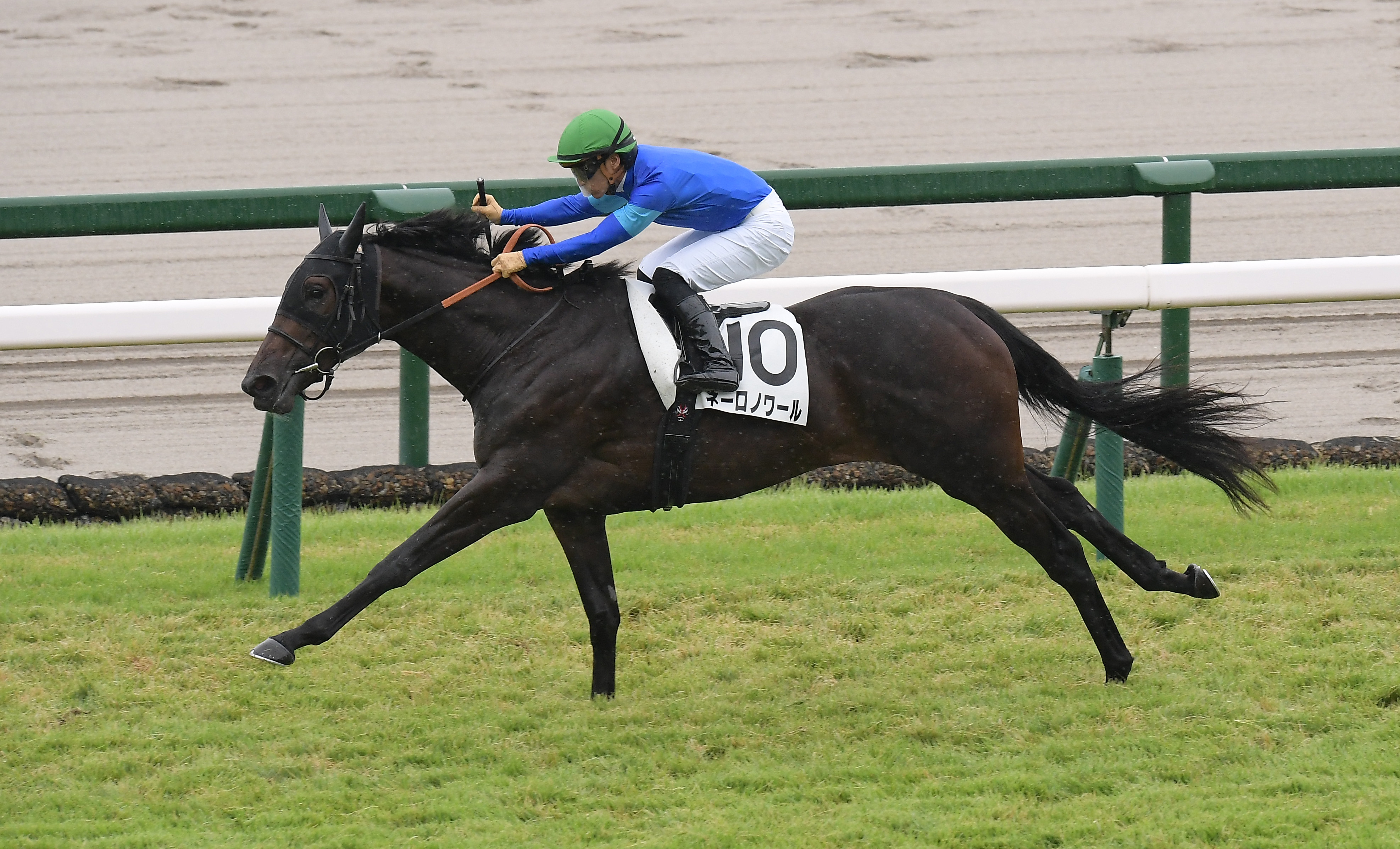 2歳新馬・阪神5R】キタサンブラック産駒の牝馬ネーロノワールが圧倒的