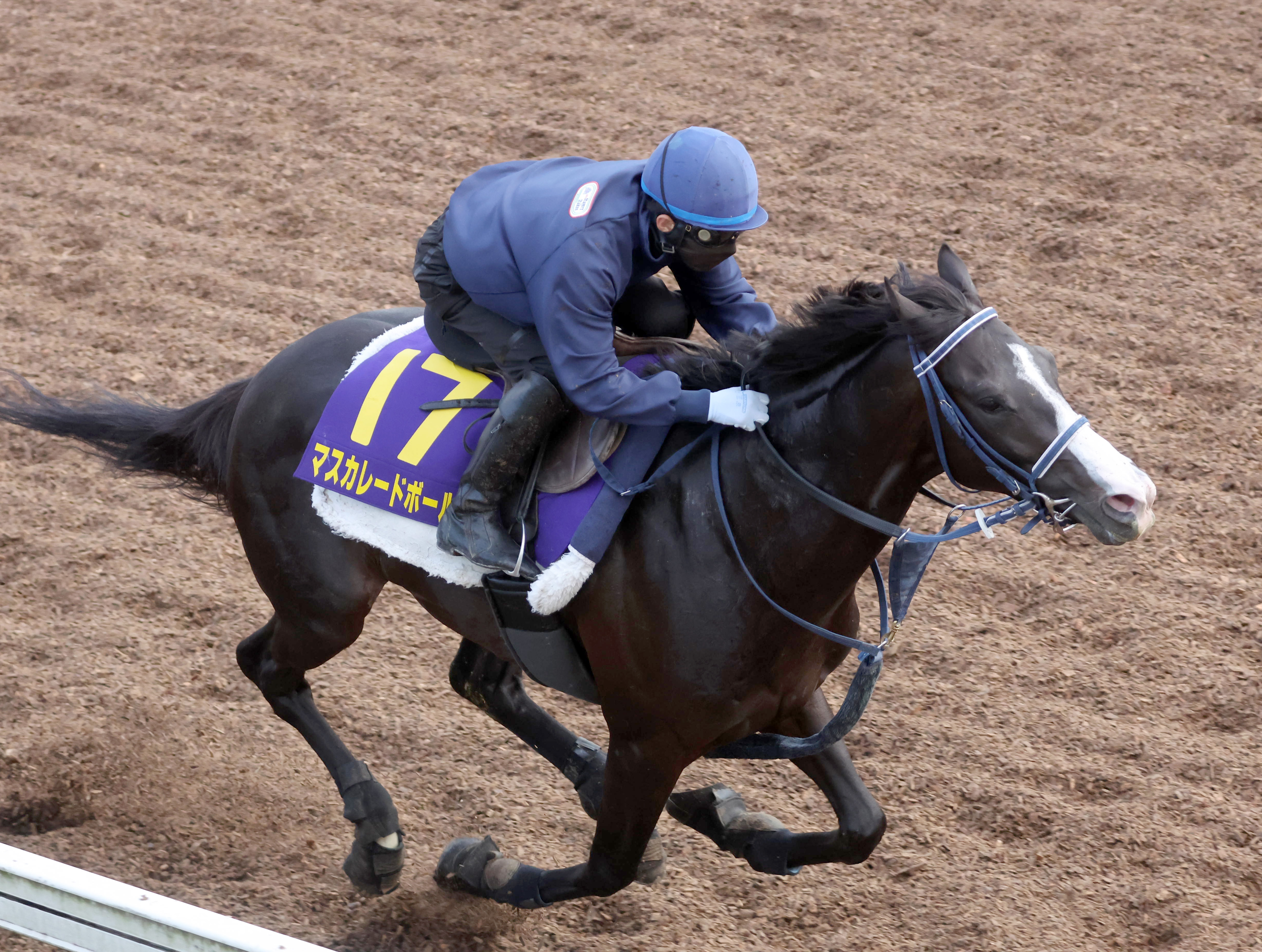 日本ダービー 東西調教スタンドから】マスカレードボール鋭く伸びて