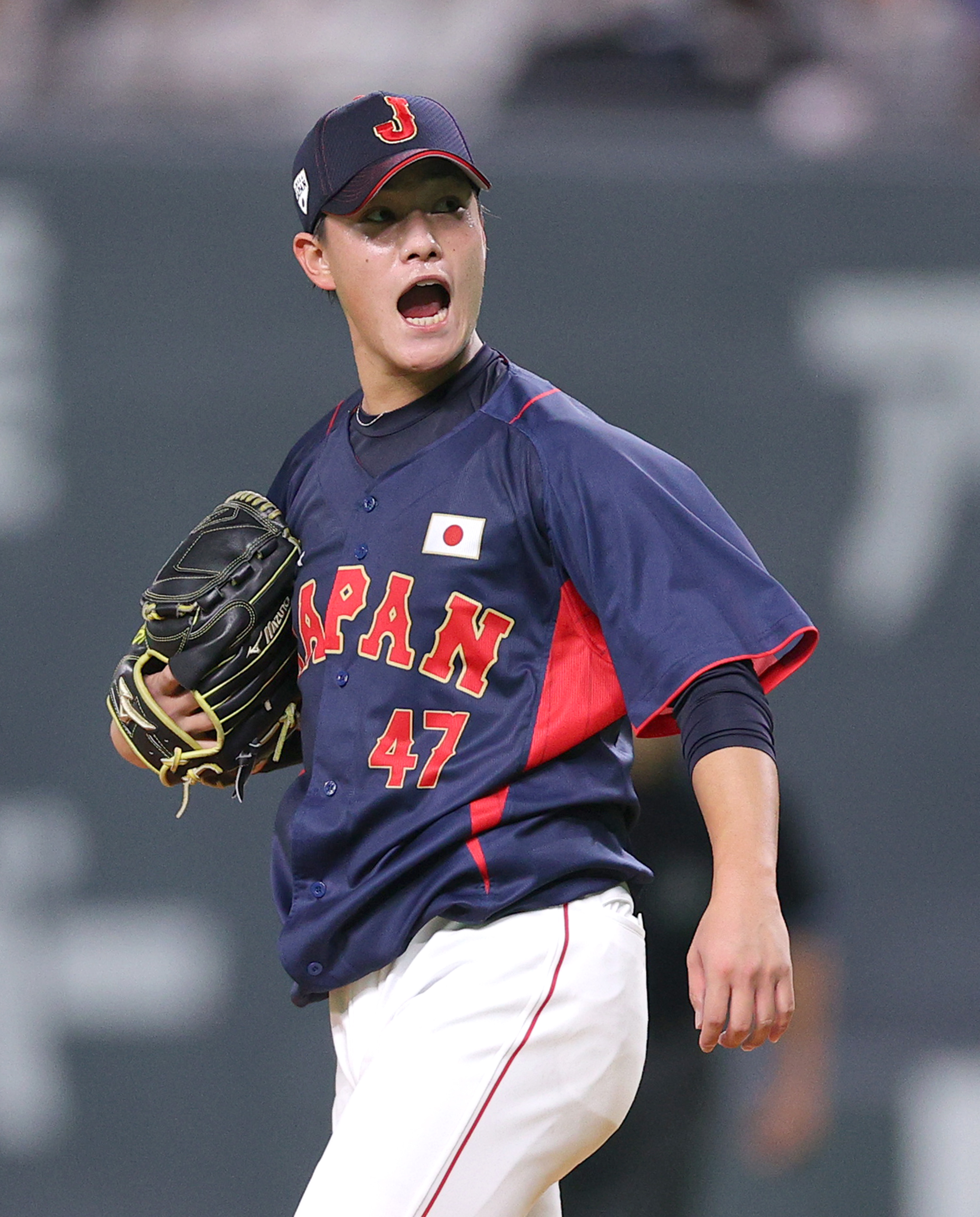 高橋奎二☆サインボール☆公式球☆東京ヤクルトスワローズ - 野球