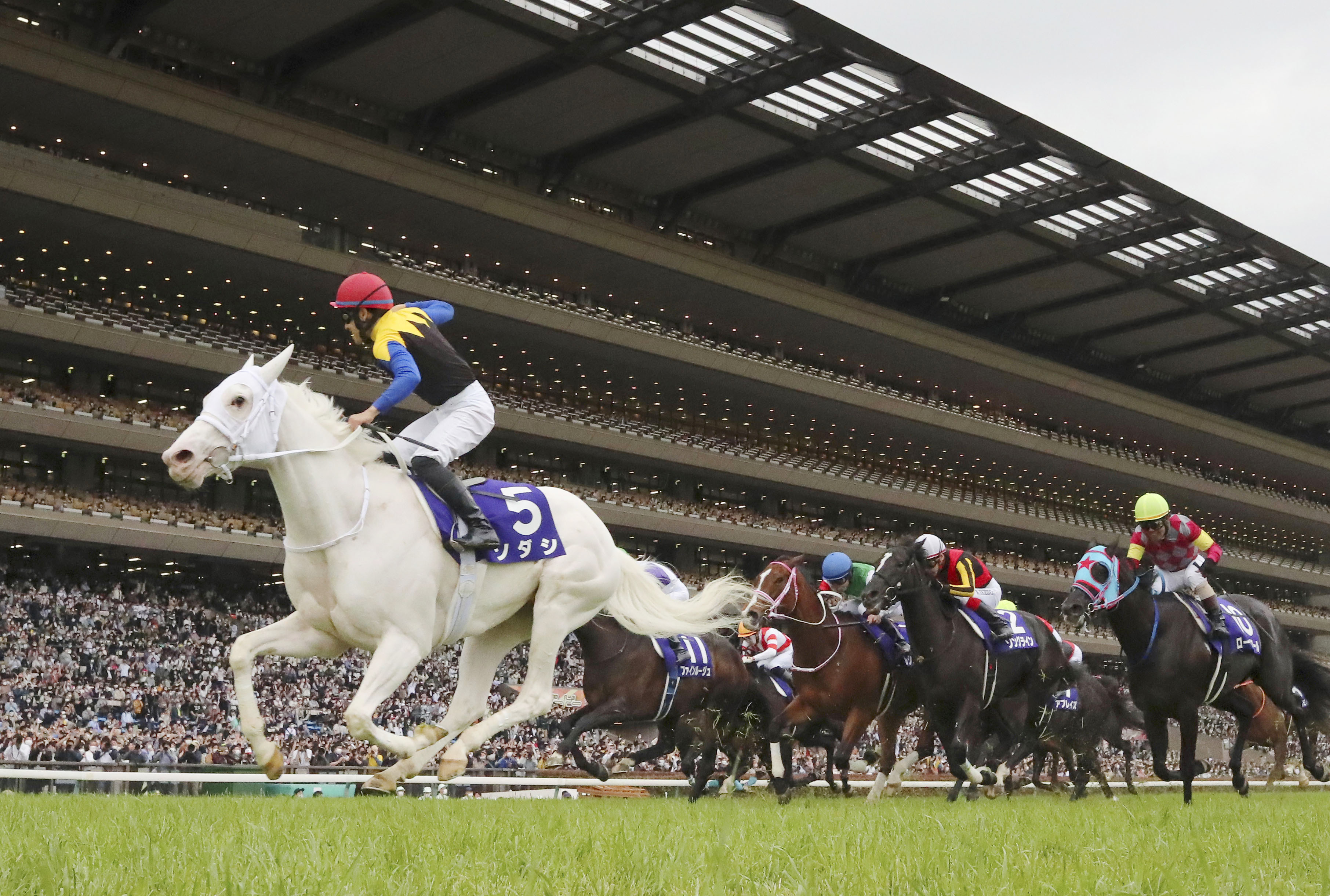 ソダシ・ヴィクトリアマイル・額入りゼッケンコースター・ＪＲＡ・東京