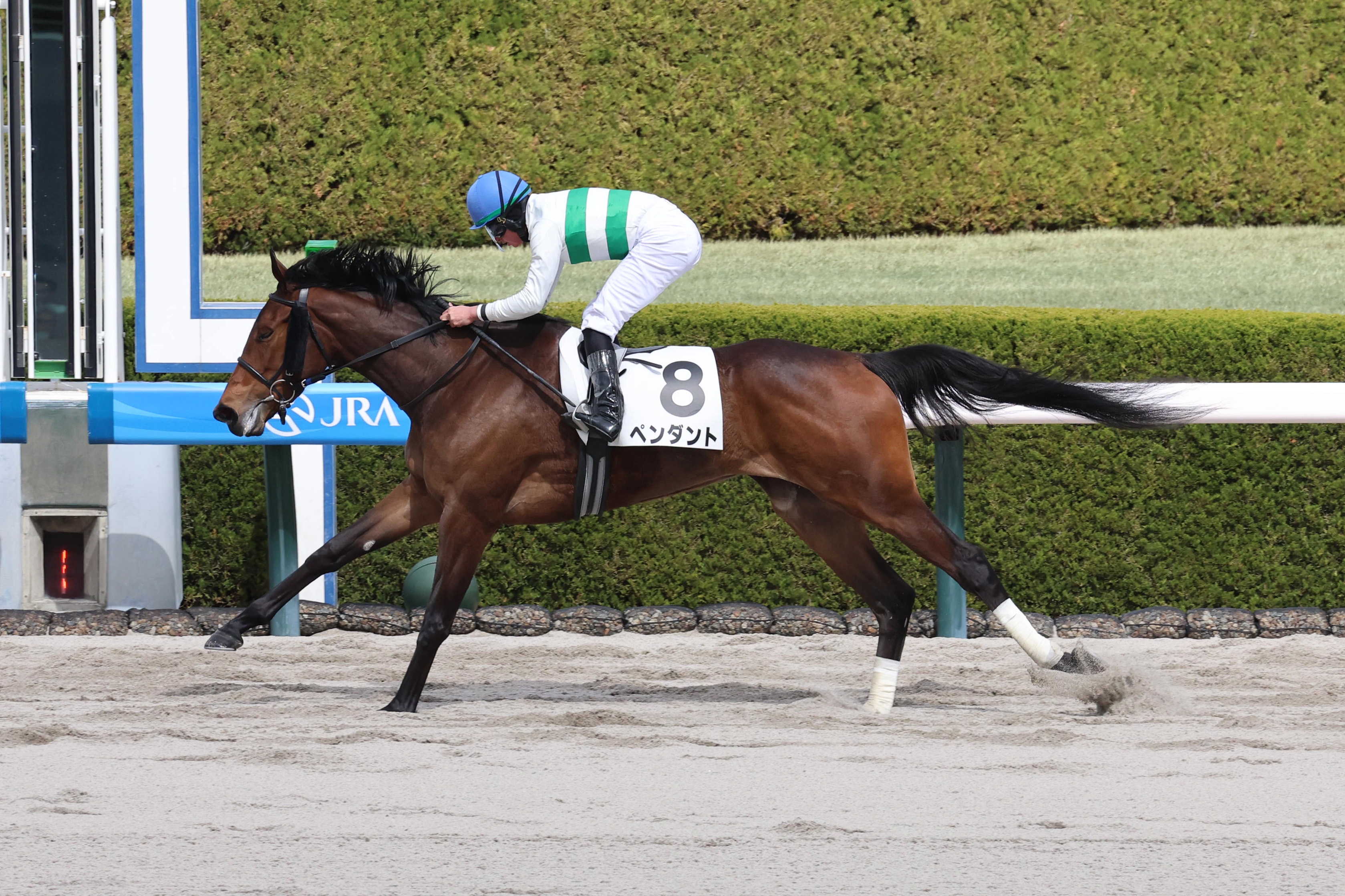 サンスポ賞フローラSの注目点】池江泰寿師JRA重賞100勝なるか キャリア