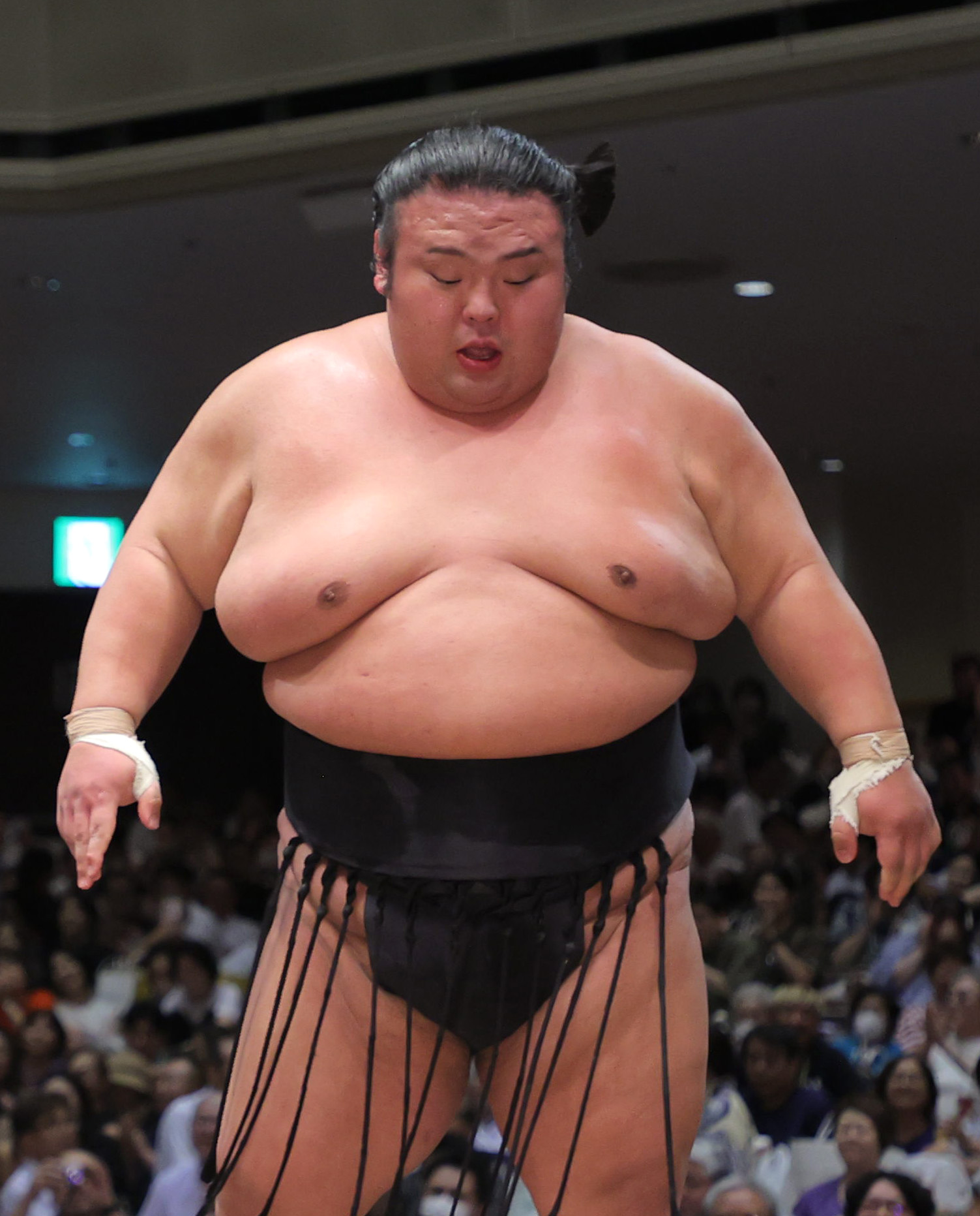 相撲 反物 輝関 Amazon.co.jp: 大相撲 輝関の反物 : おもちゃ