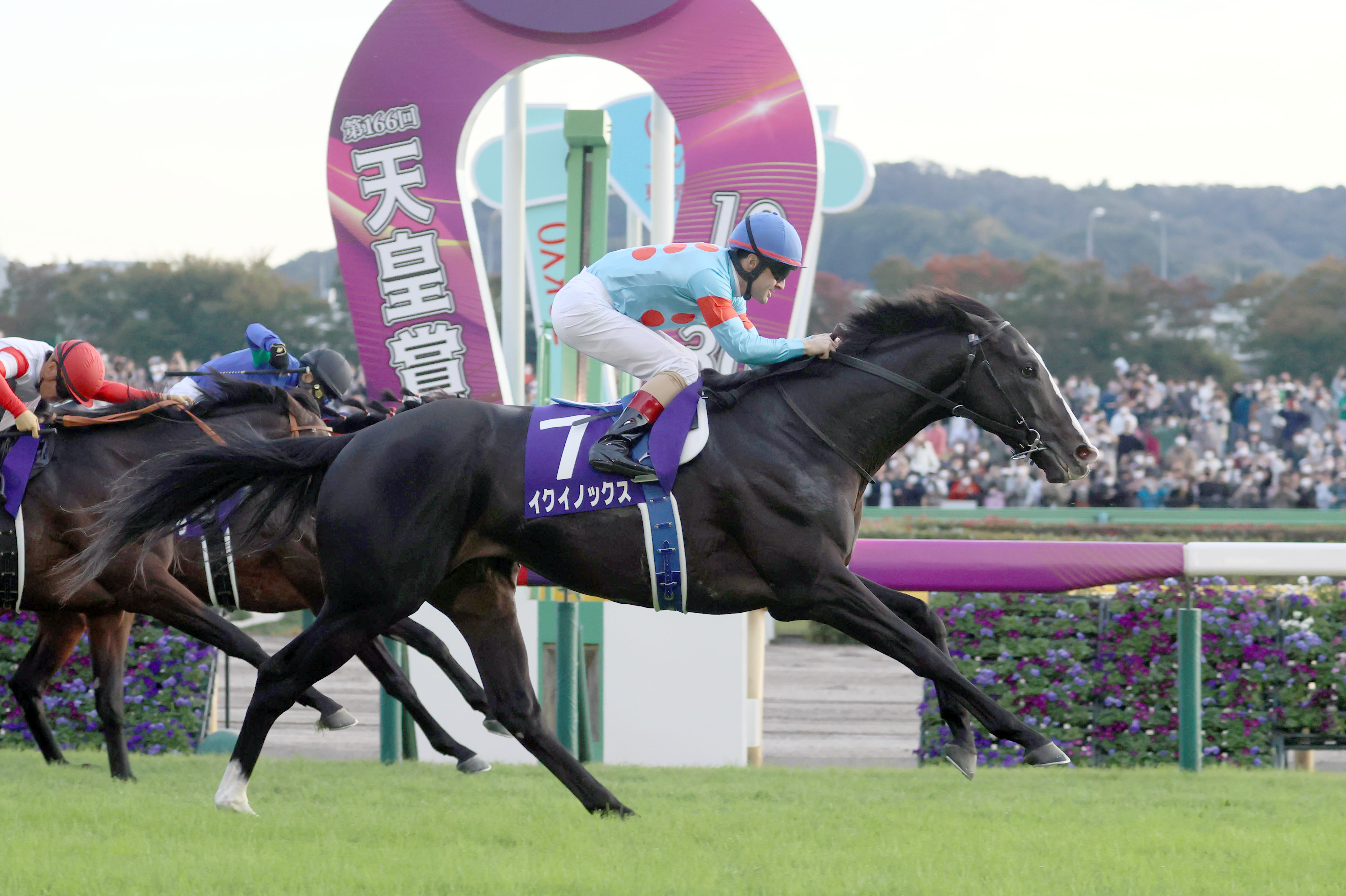古馬相手の3歳馬、レベルを測る平均着順の秘密 井崎脩五郎の