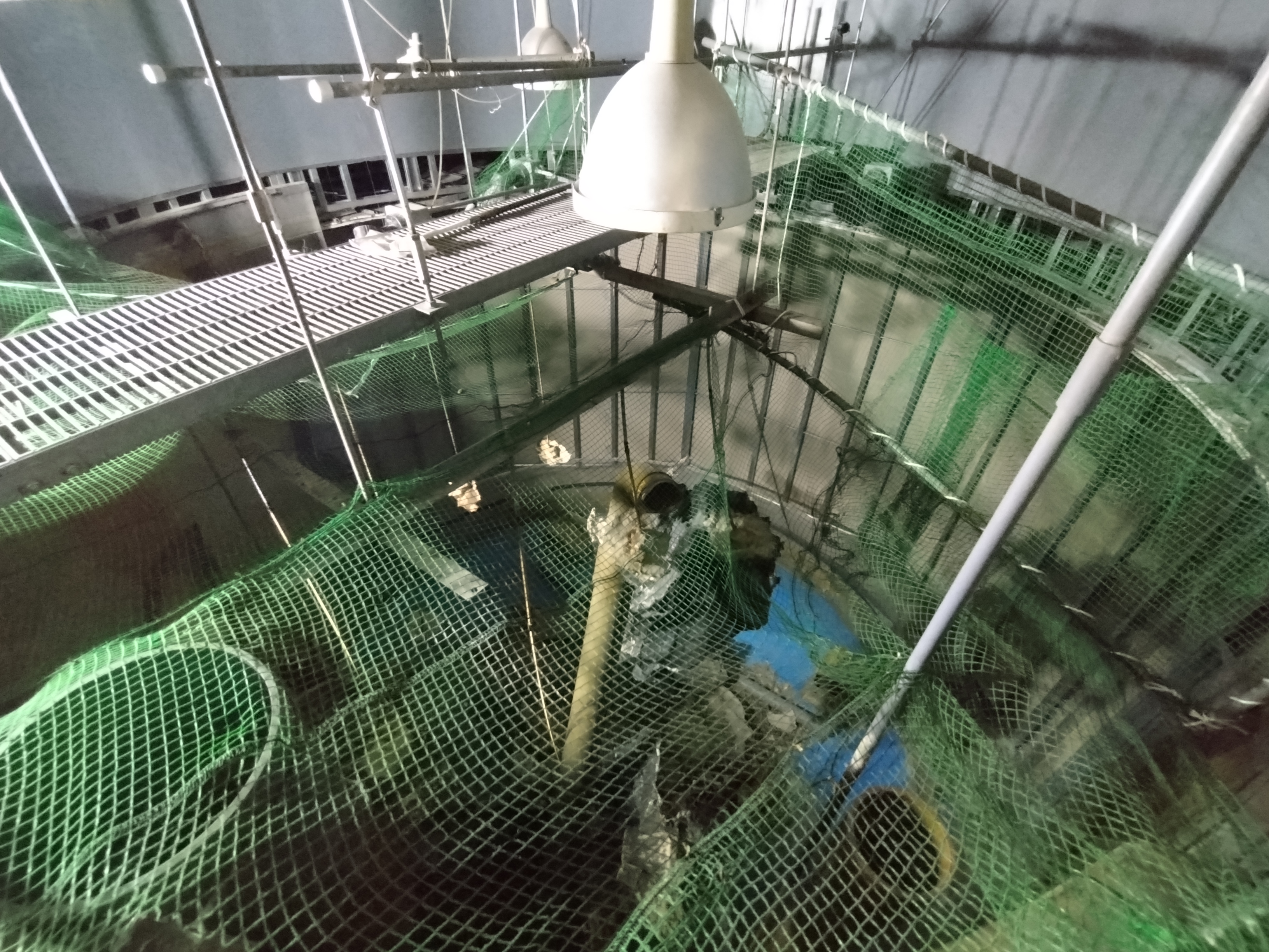泡の出が違う！大型水槽に威力を発揮。偽物には注意！ 泡の出が違う
